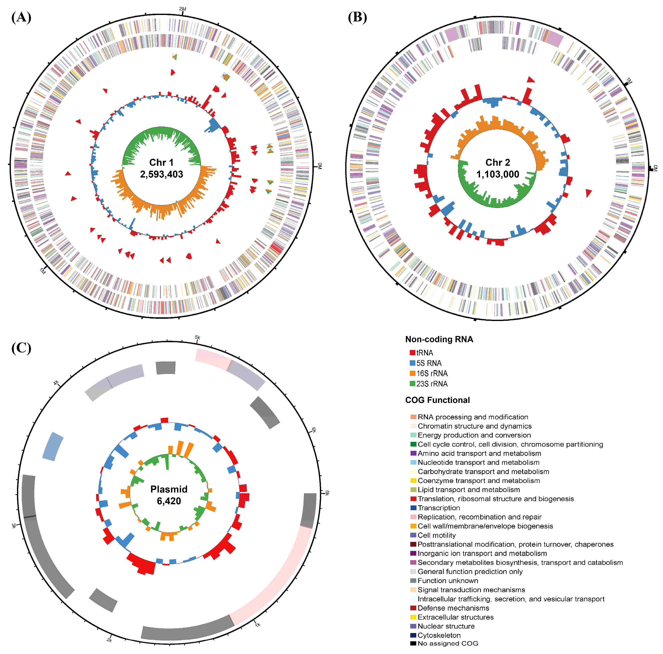 Microorganisms 13 02385 g003