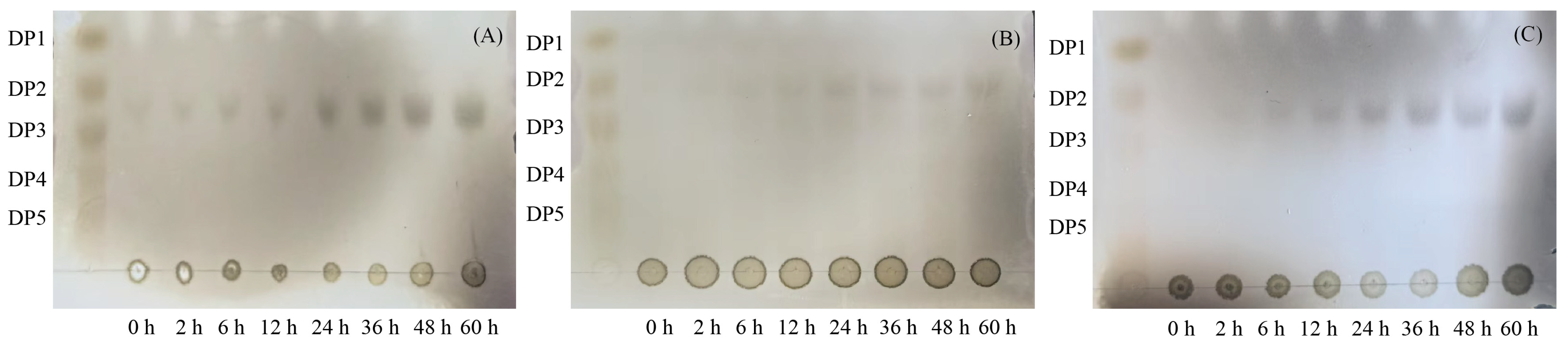 Microorganisms 13 02385 g011