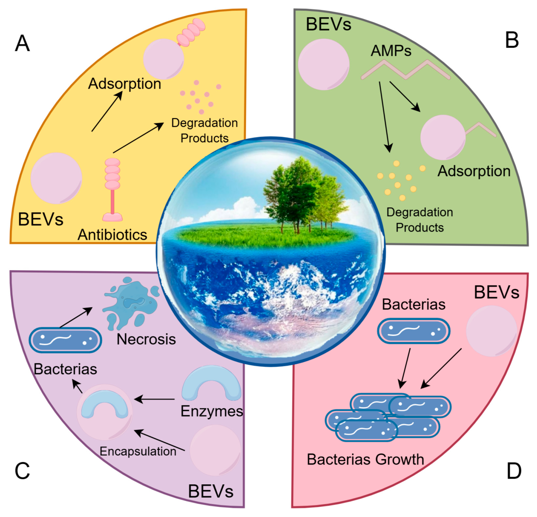 Microorganisms 13 02413 g002