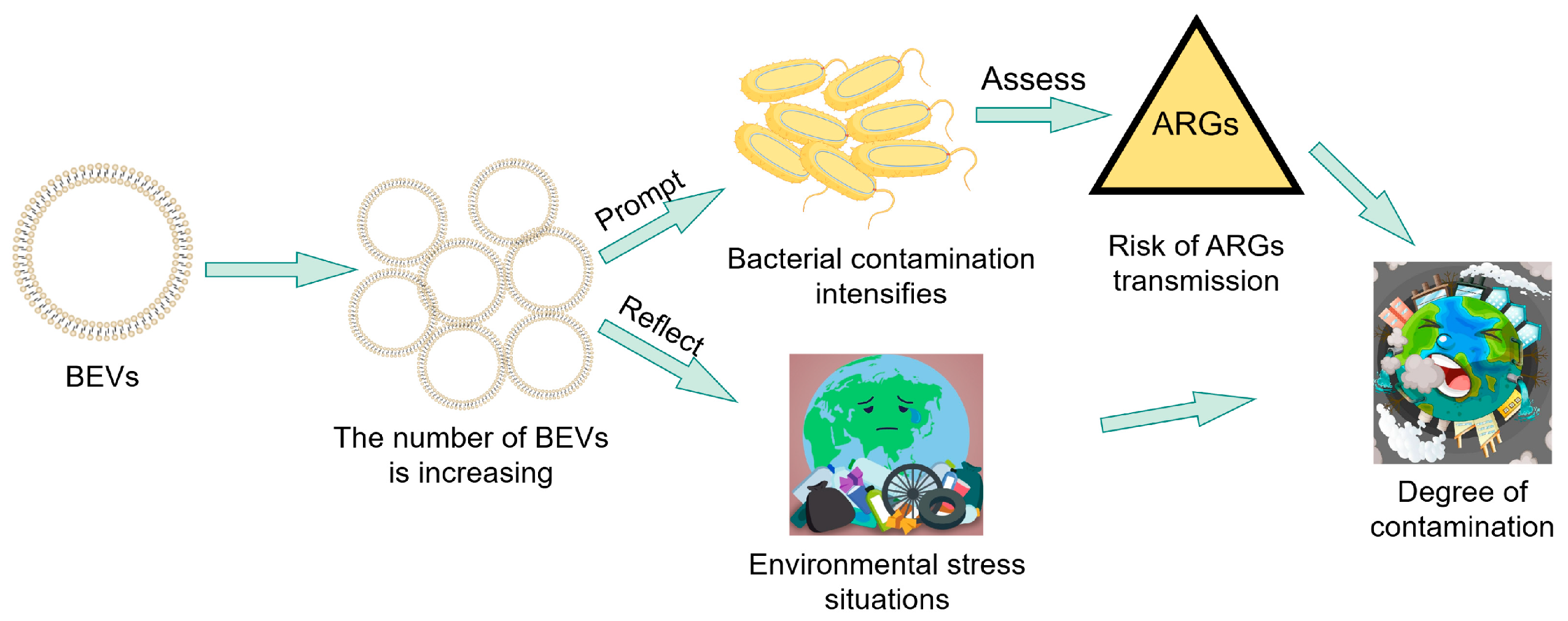 Microorganisms 13 02413 g004