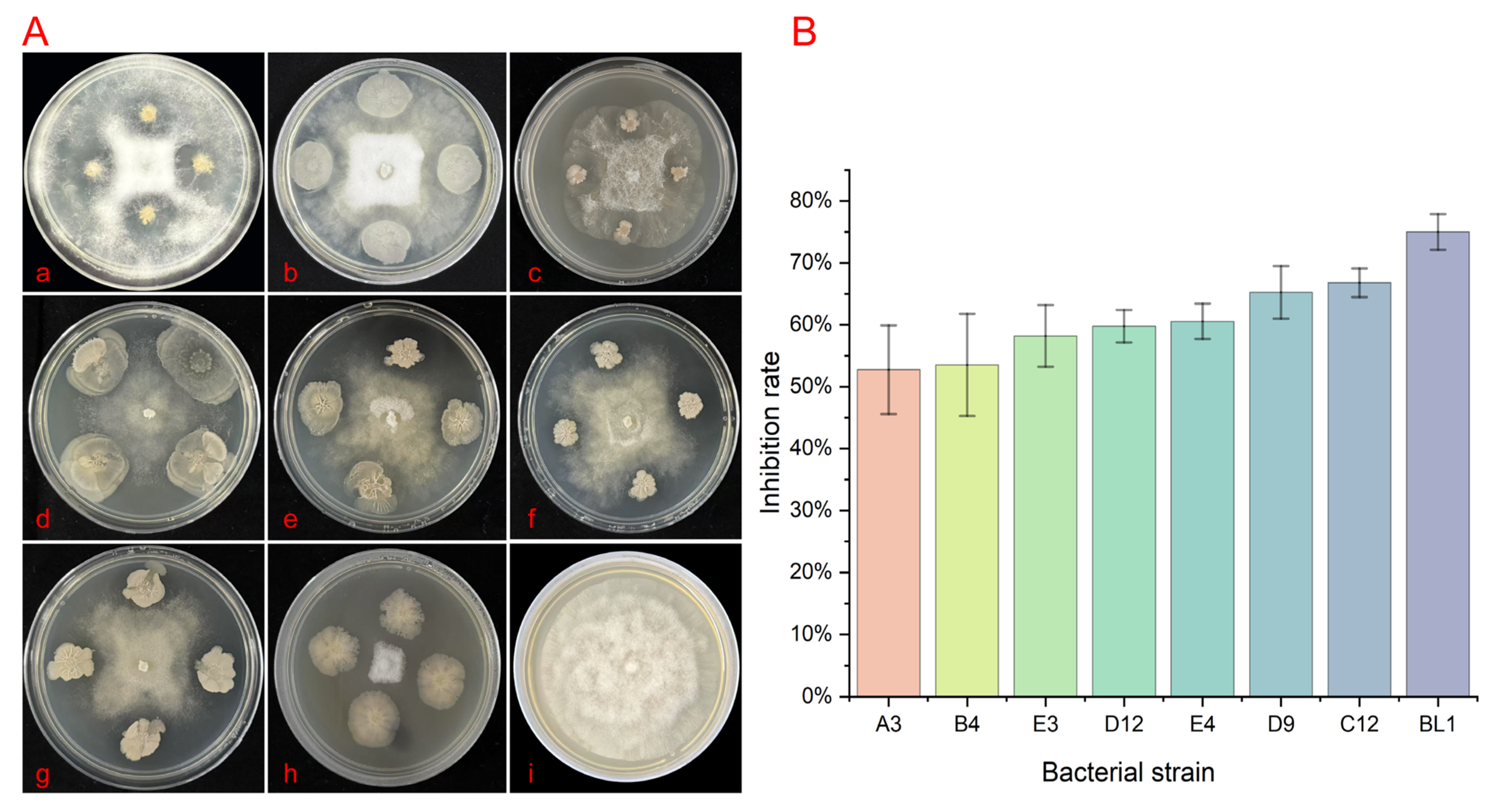 Microorganisms 13 02417 g005 Microorganisms 13 02417 g005