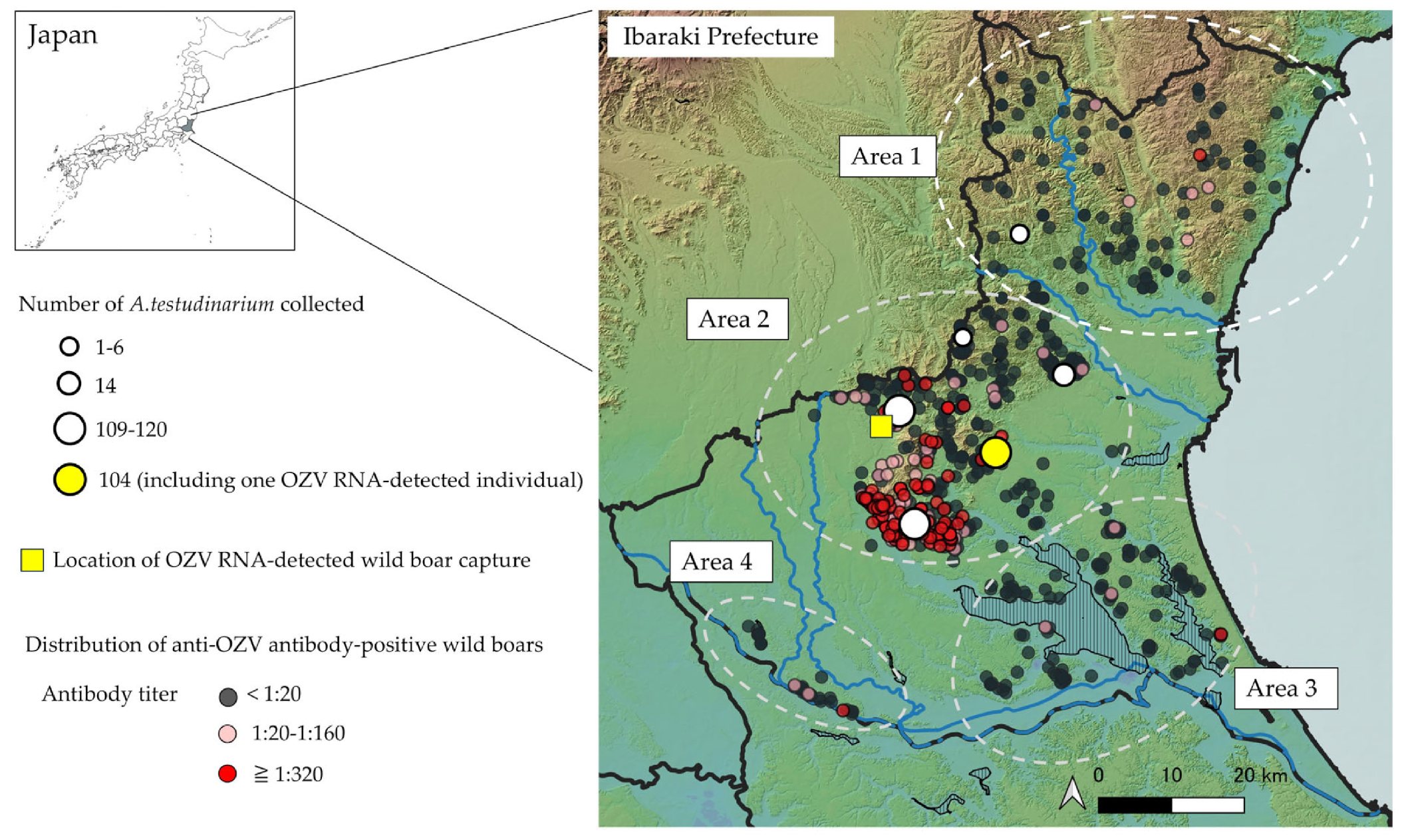 Microorganisms 13 02421 g002