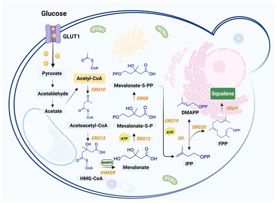 Microorganisms 13 02422 g003