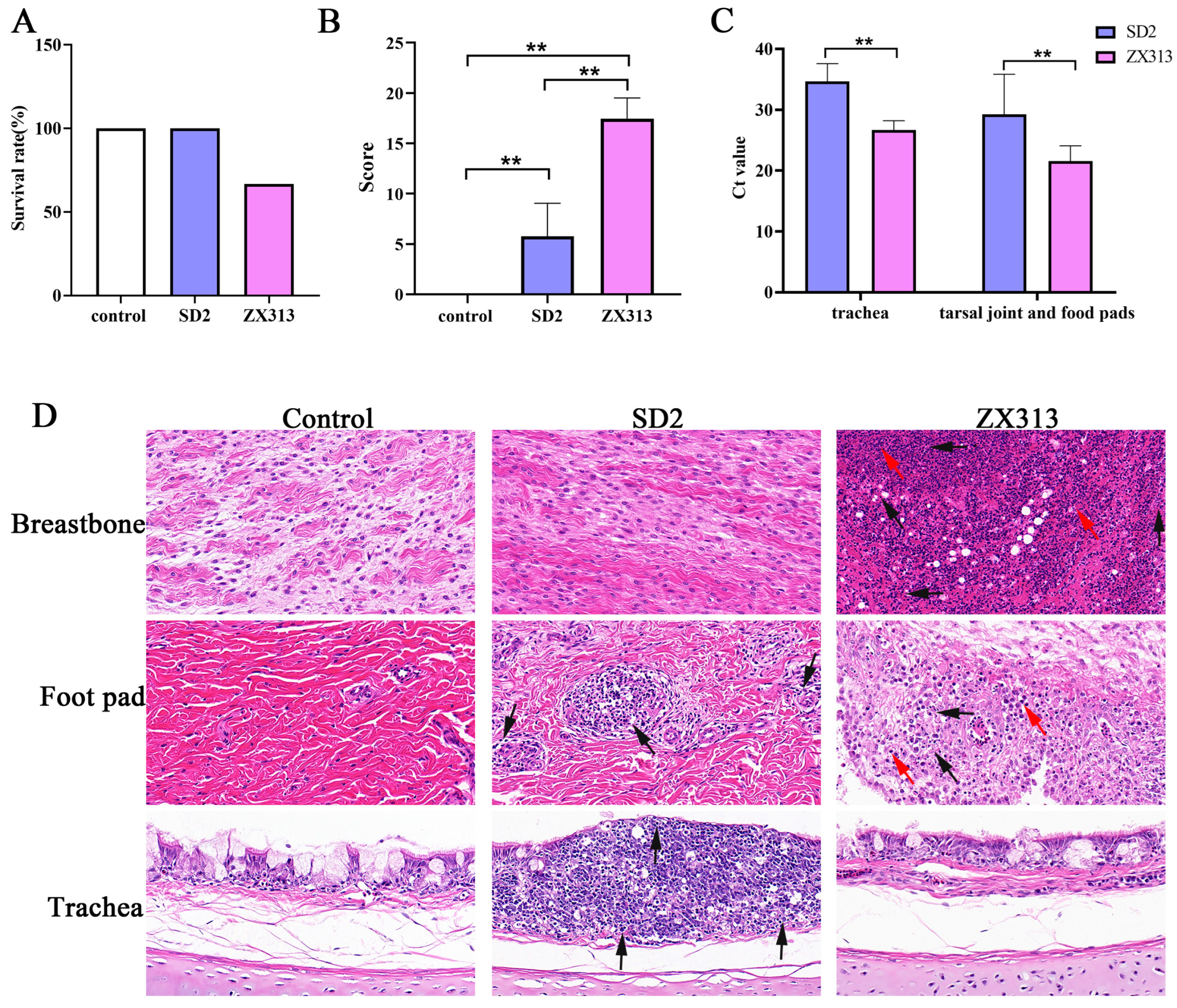 Microorganisms 13 02427 g001 Microorganisms 13 02427 g001