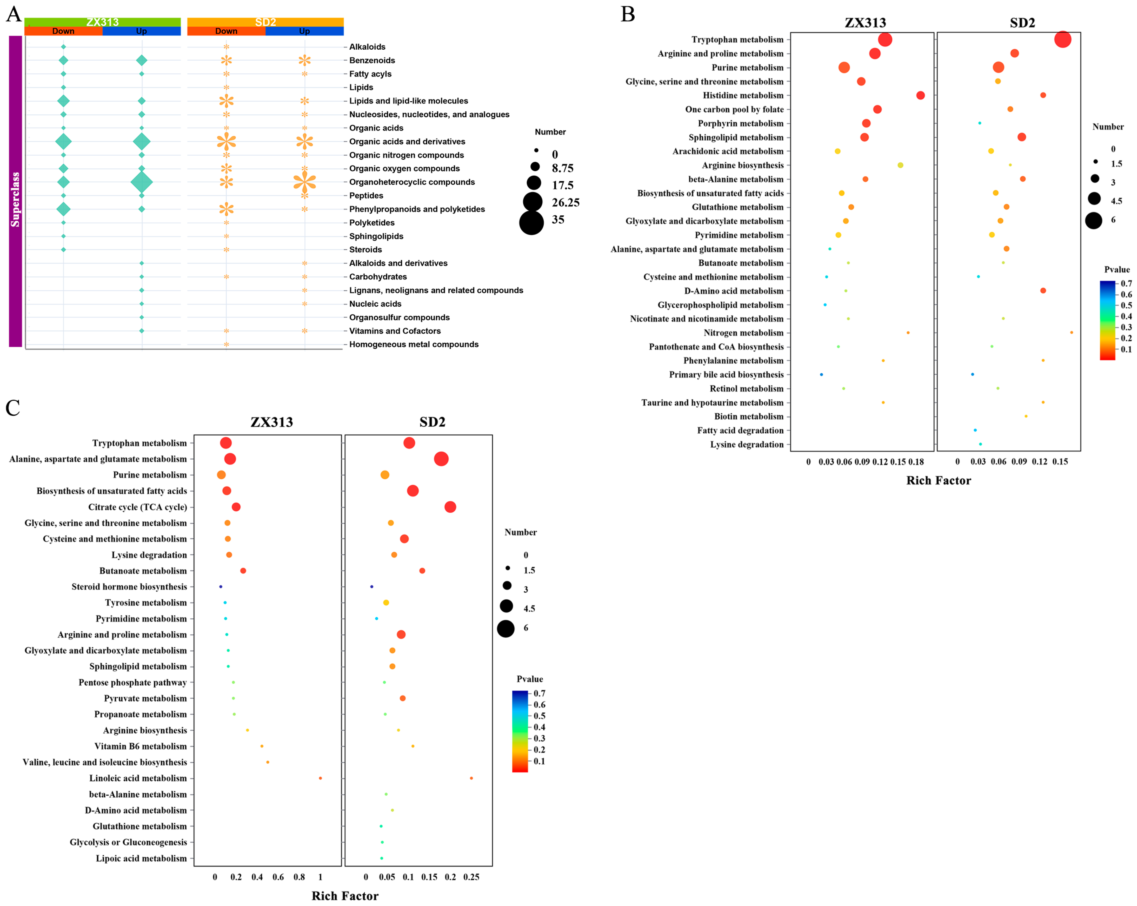 Microorganisms 13 02427 g004 Microorganisms 13 02427 g004