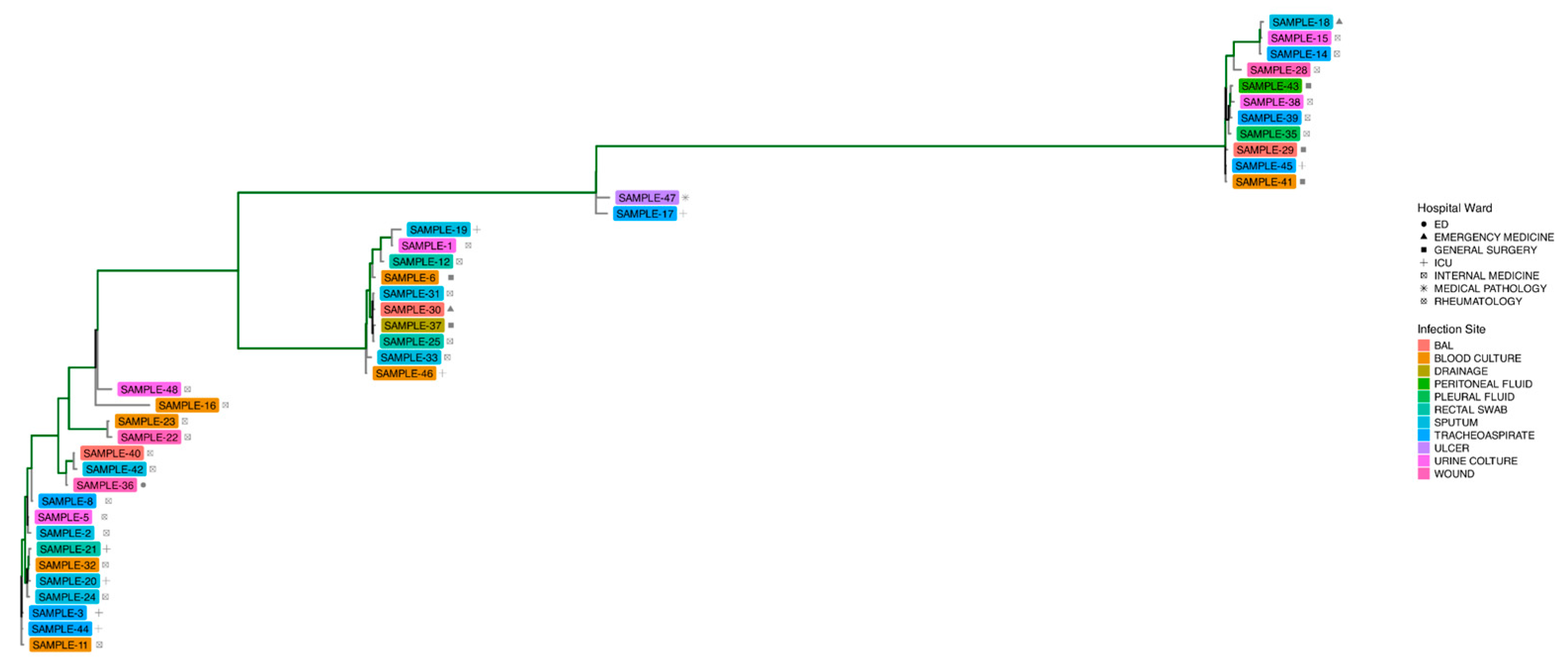 Microorganisms 13 02429 g001