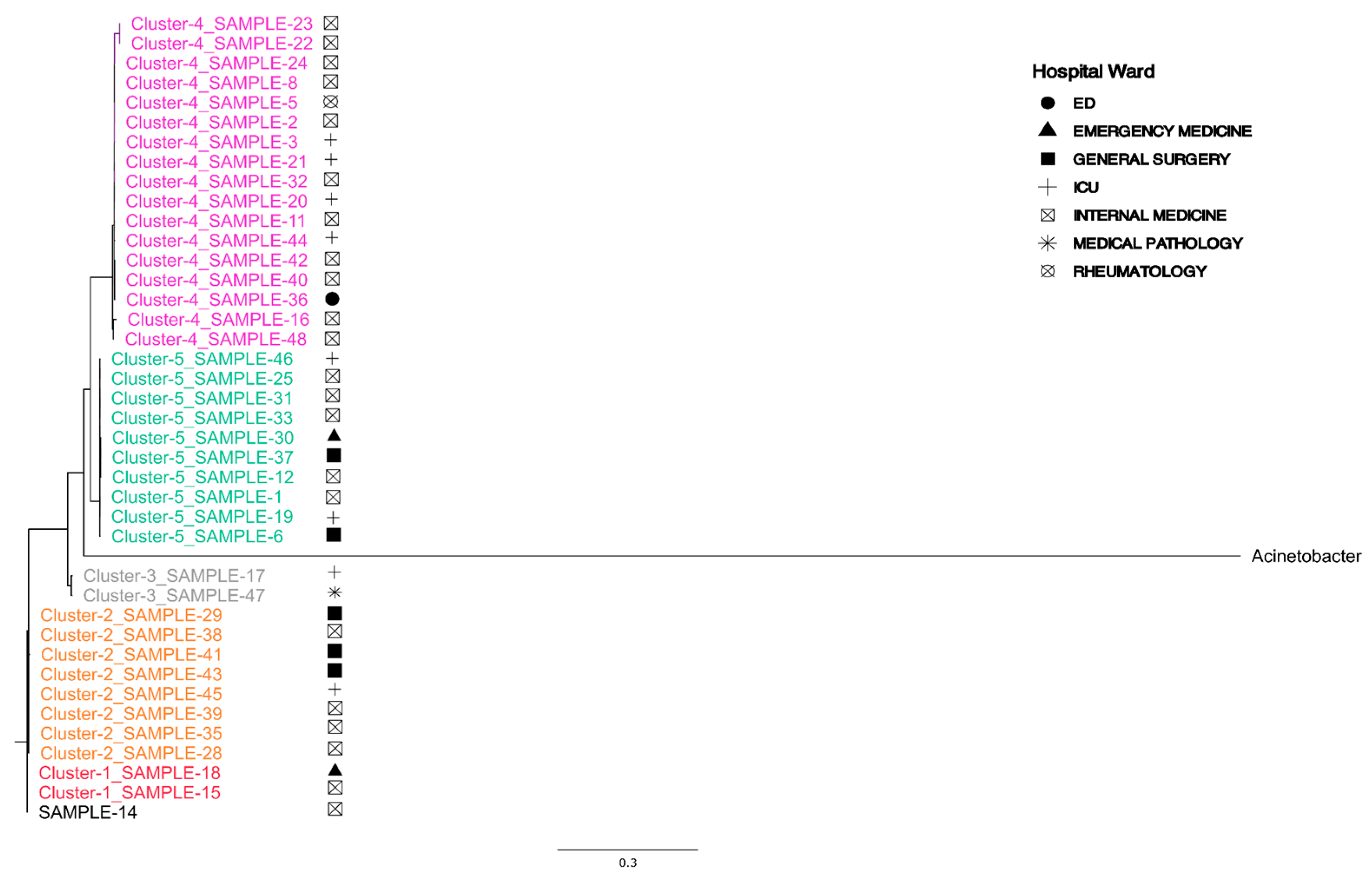 Microorganisms 13 02429 g002