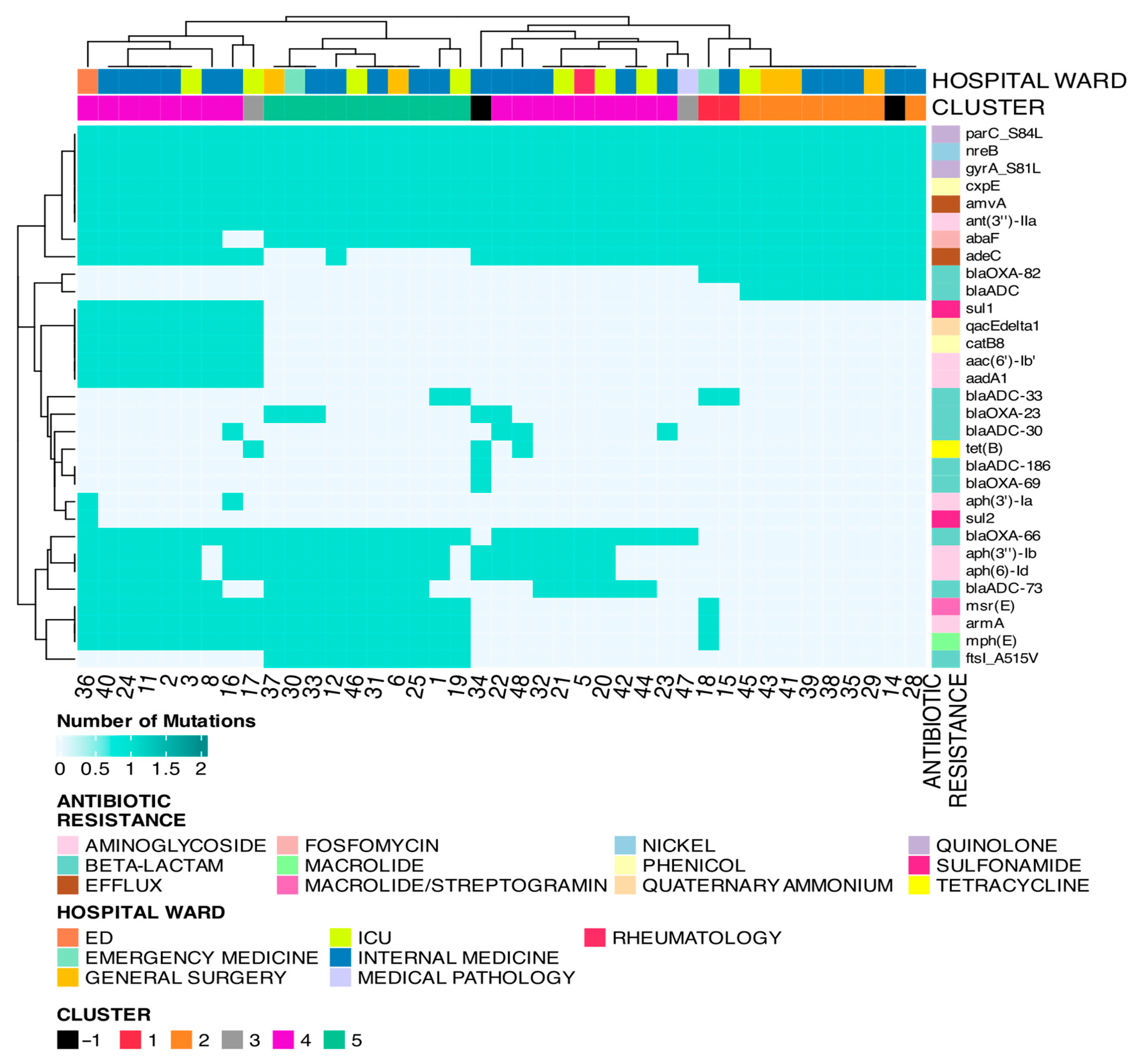 Microorganisms 13 02429 g005