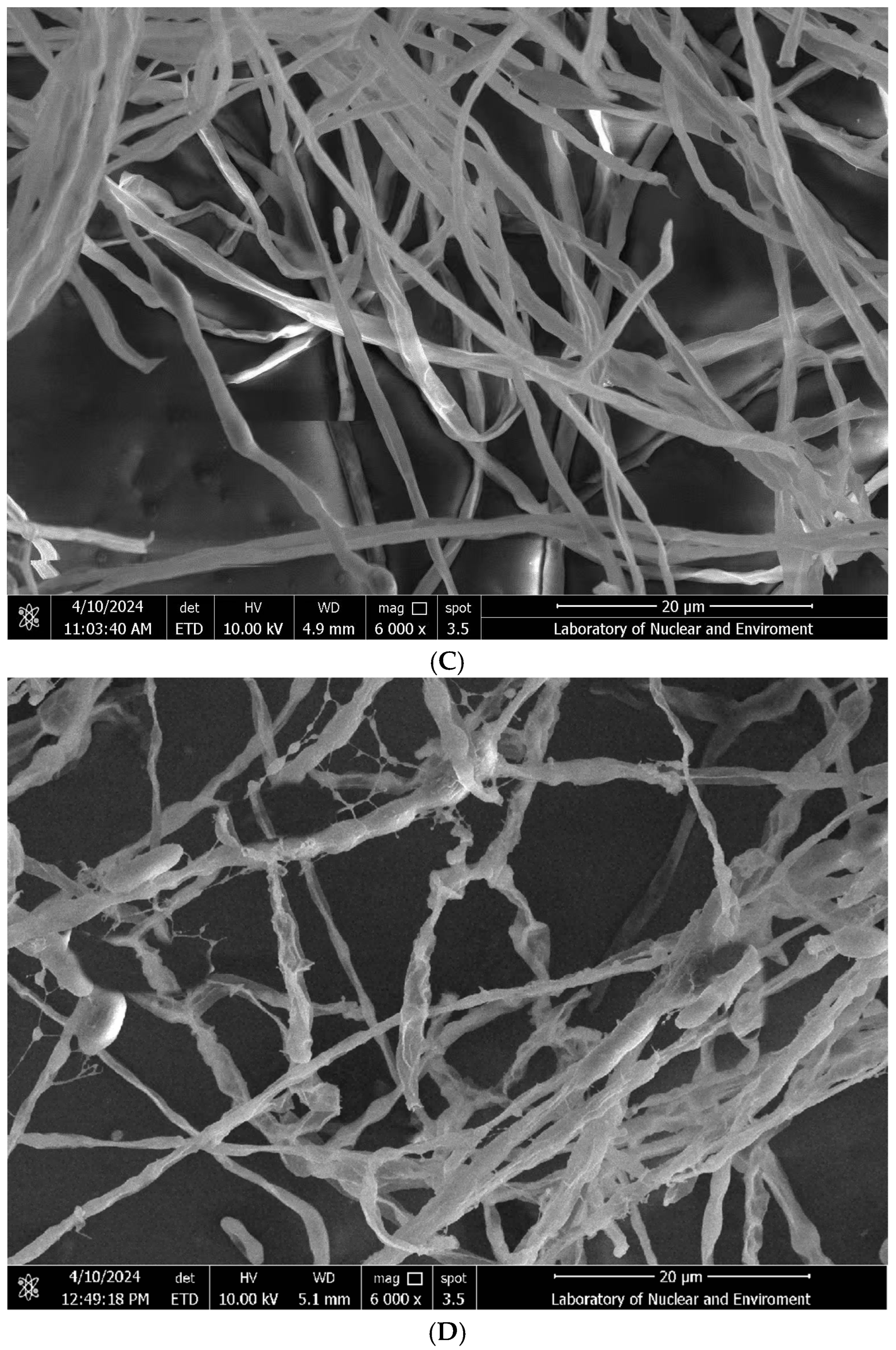 Microorganisms 13 02430 g002b