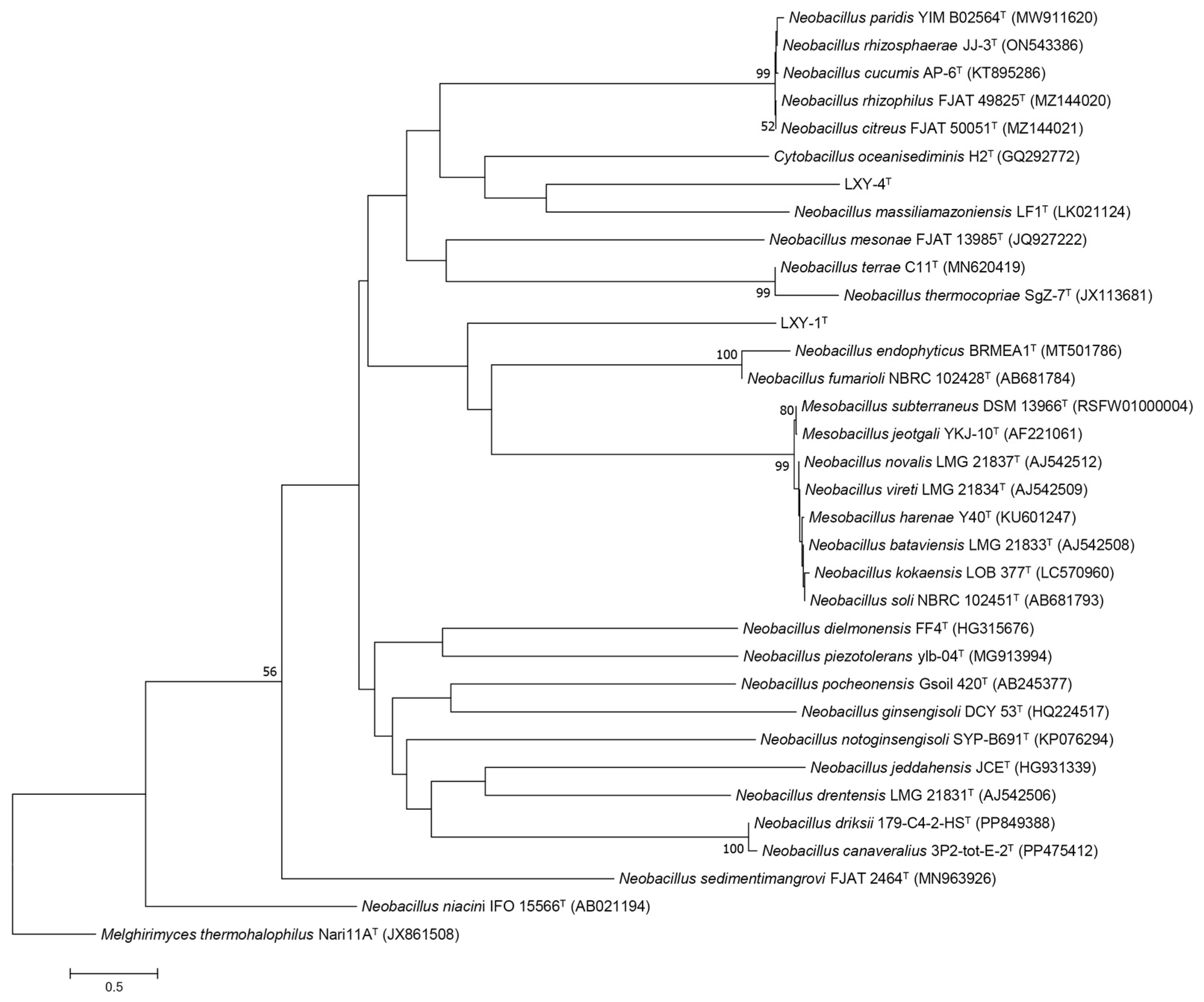 Microorganisms 13 02437 g003