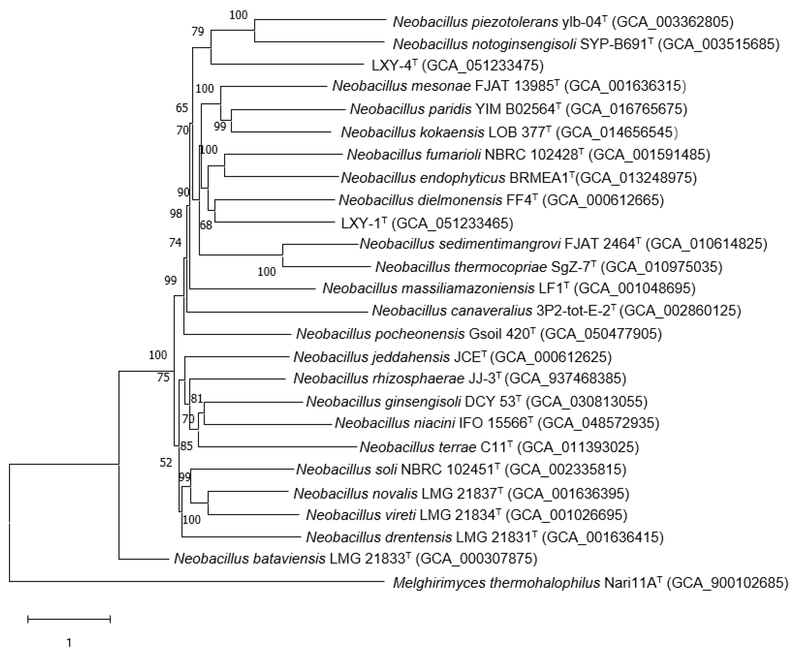 Microorganisms 13 02437 g004
