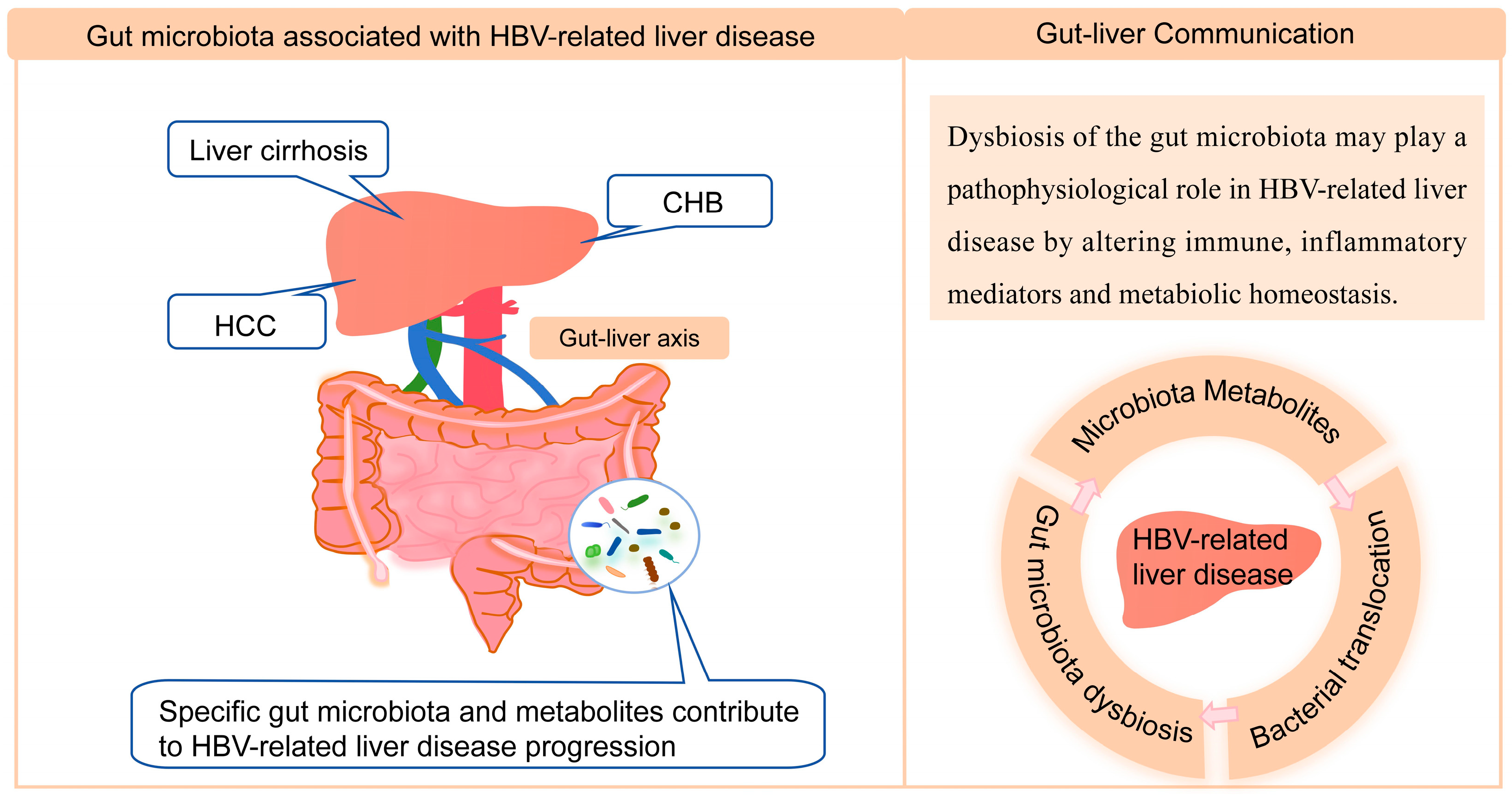 Microorganisms 13 02445 g001 Microorganisms 13 02445 g001