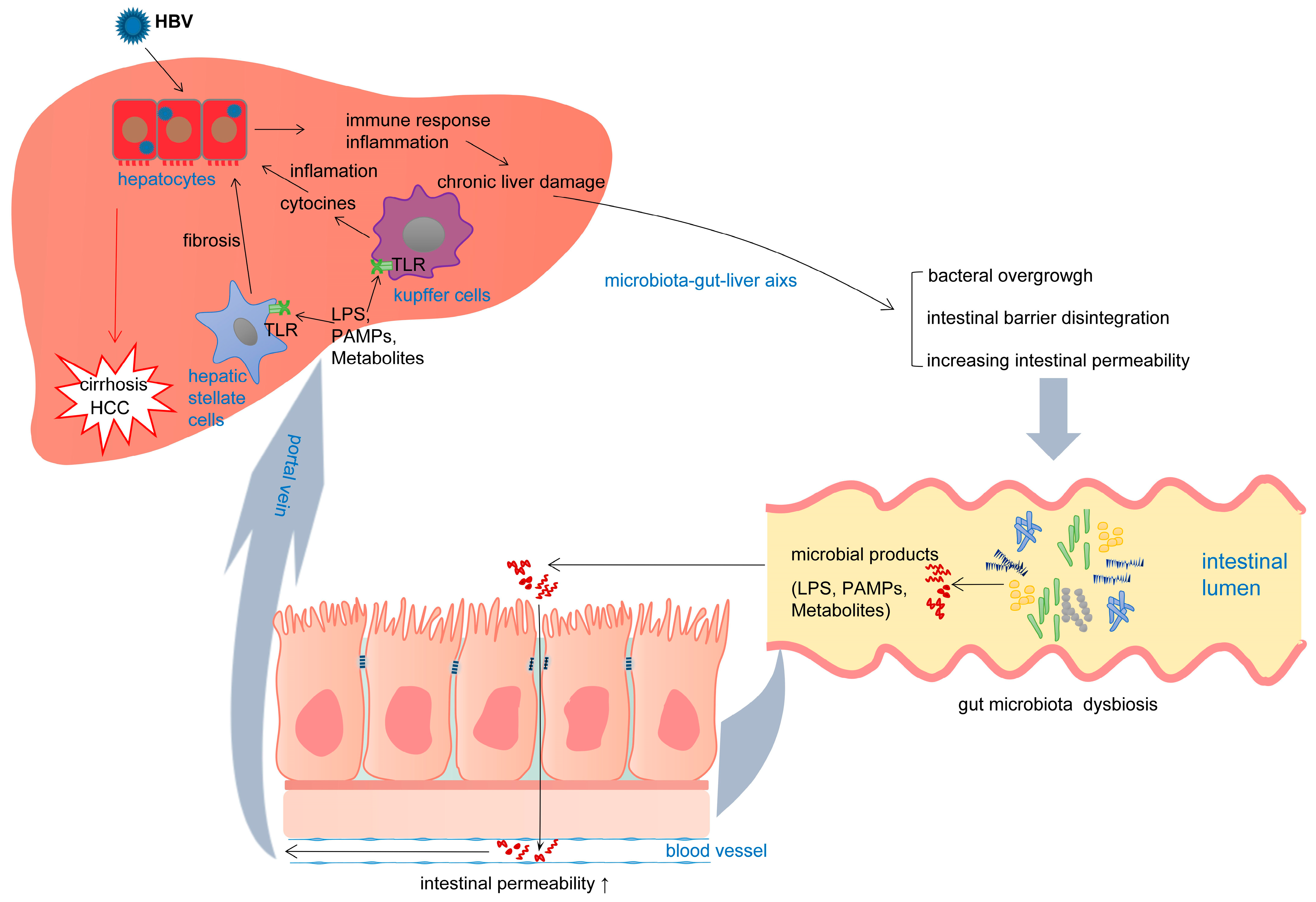 Microorganisms 13 02445 g002 Microorganisms 13 02445 g002