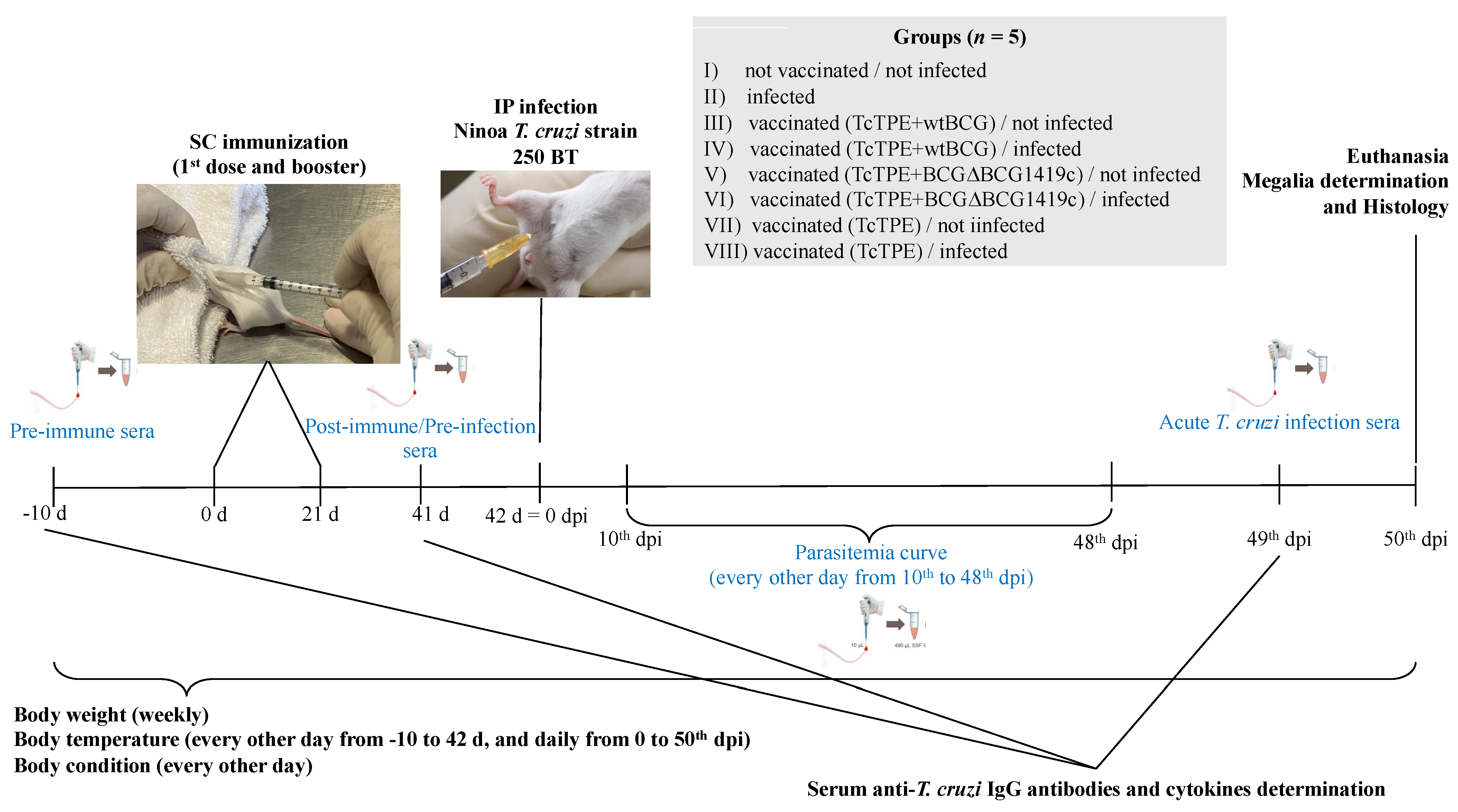 Microorganisms 13 02447 g001