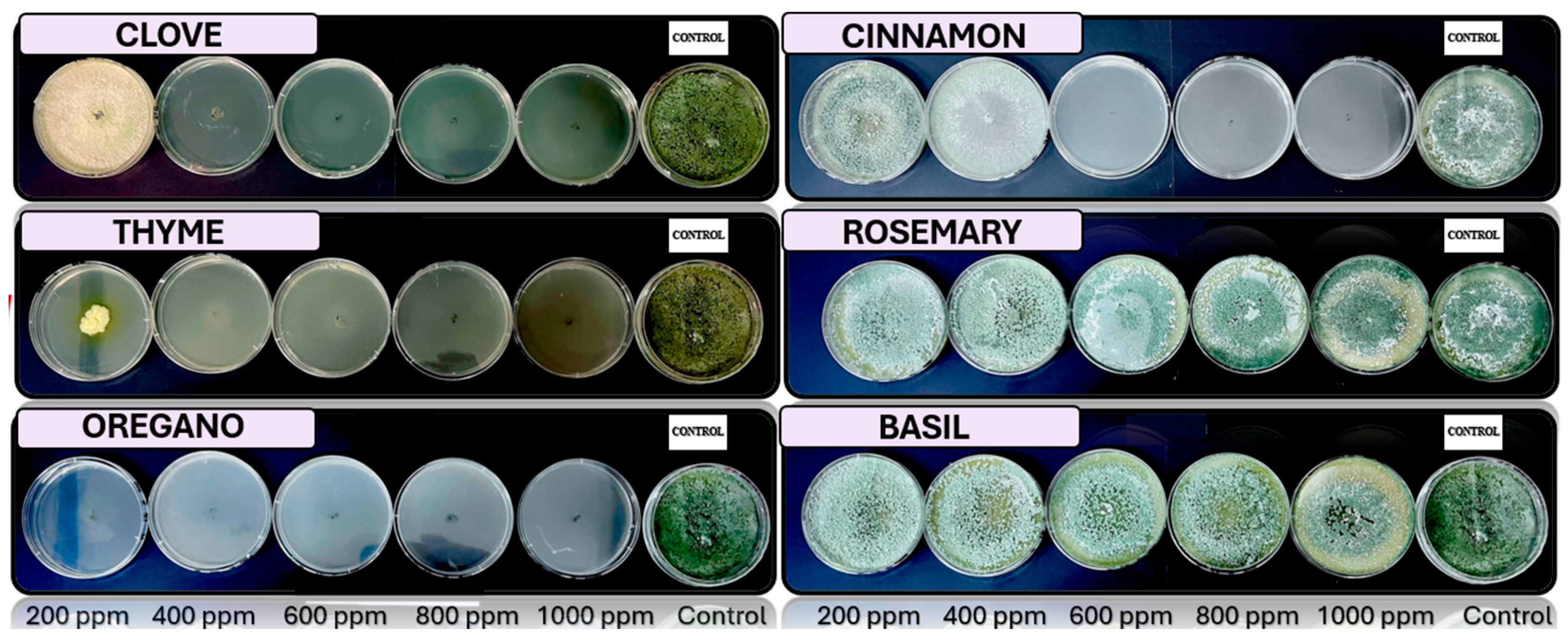Microorganisms 13 02477 g005 Microorganisms 13 02477 g005