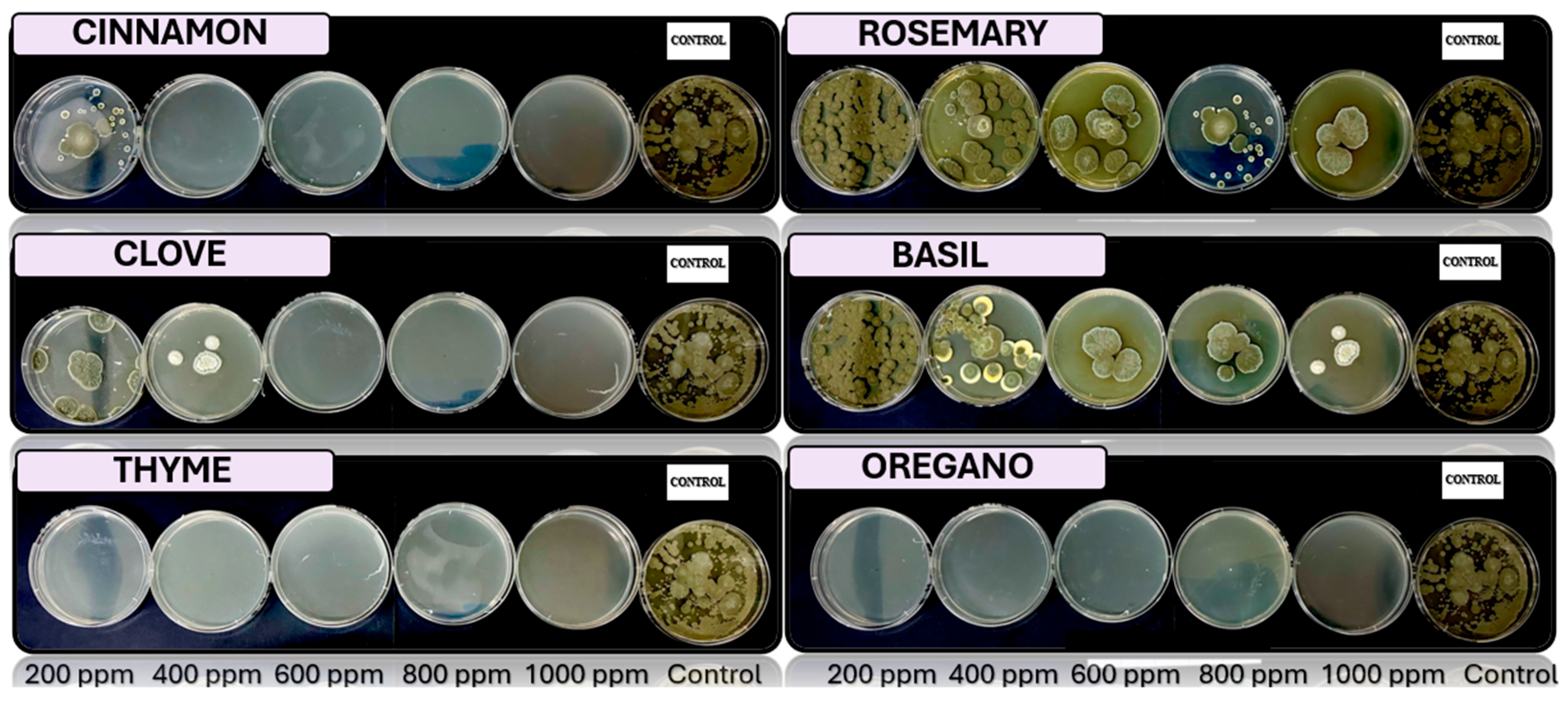 Microorganisms 13 02477 g006 Microorganisms 13 02477 g006