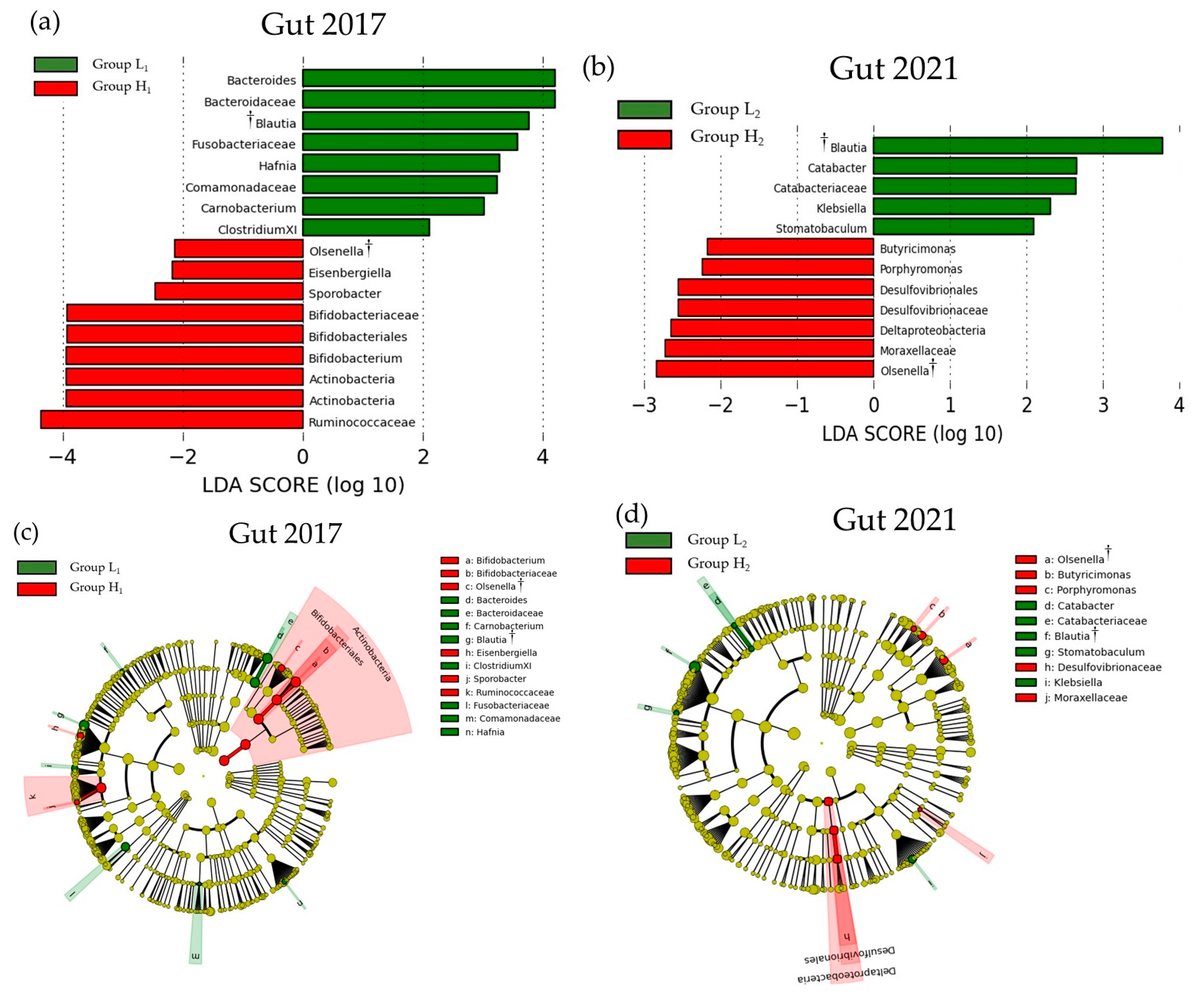 Microorganisms 13 02483 g005