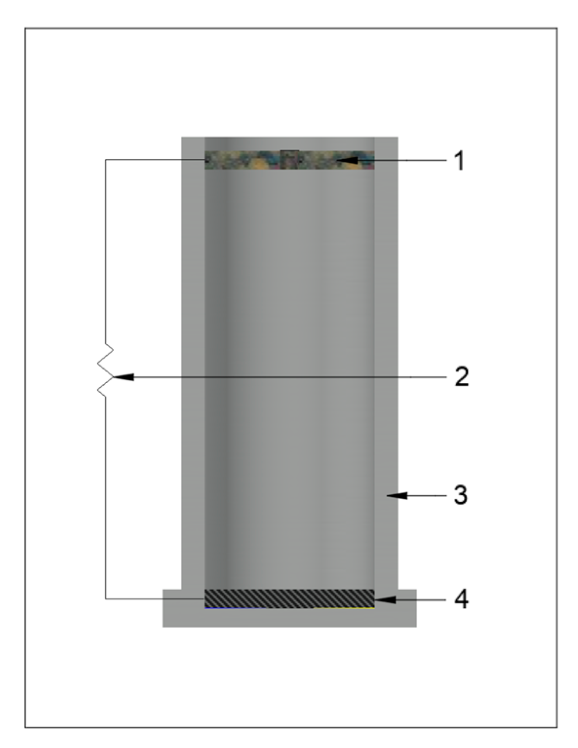 Microorganisms 13 02500 g001