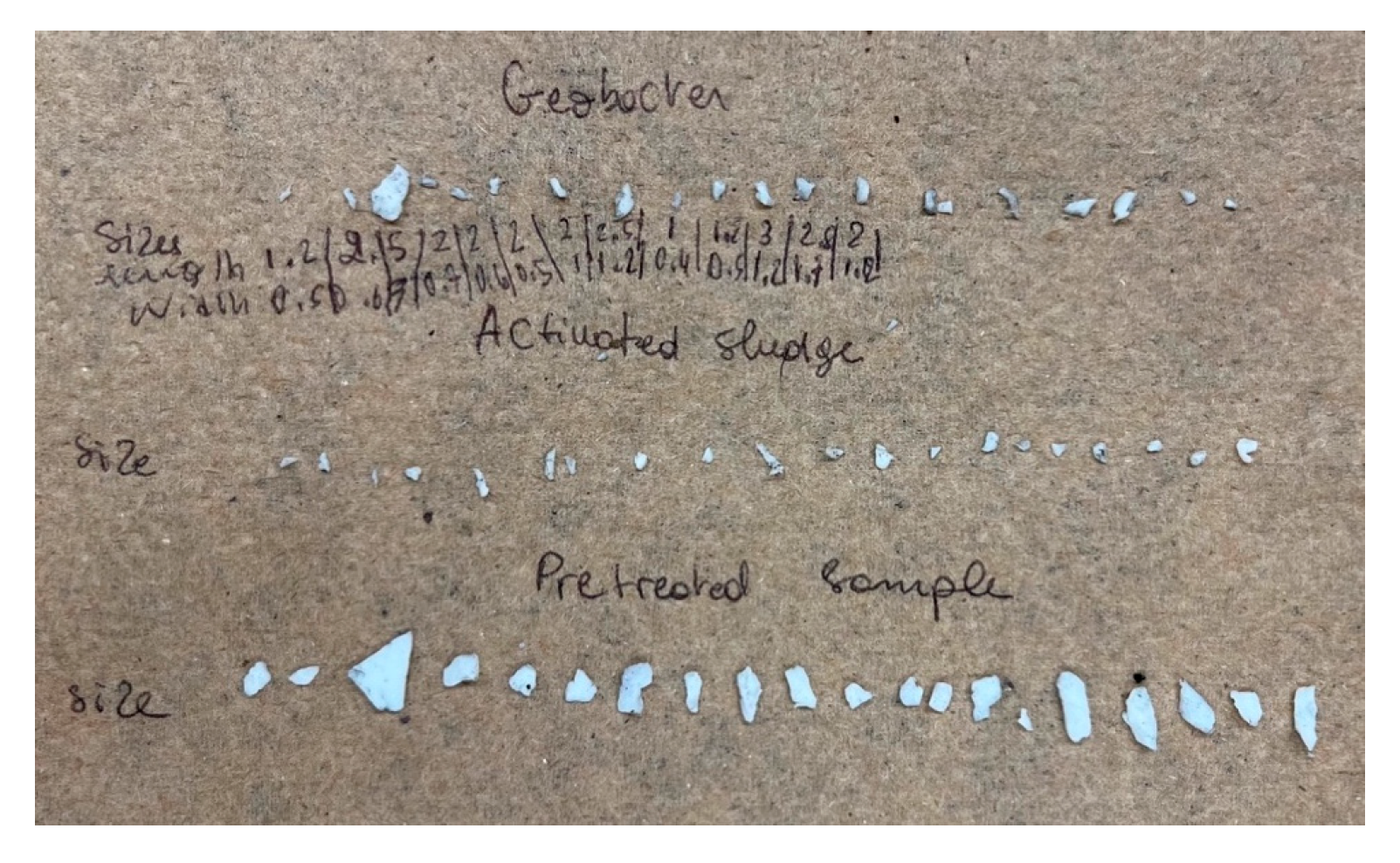 Microorganisms 13 02500 g004