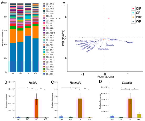 Microorganisms 13 02502 g002