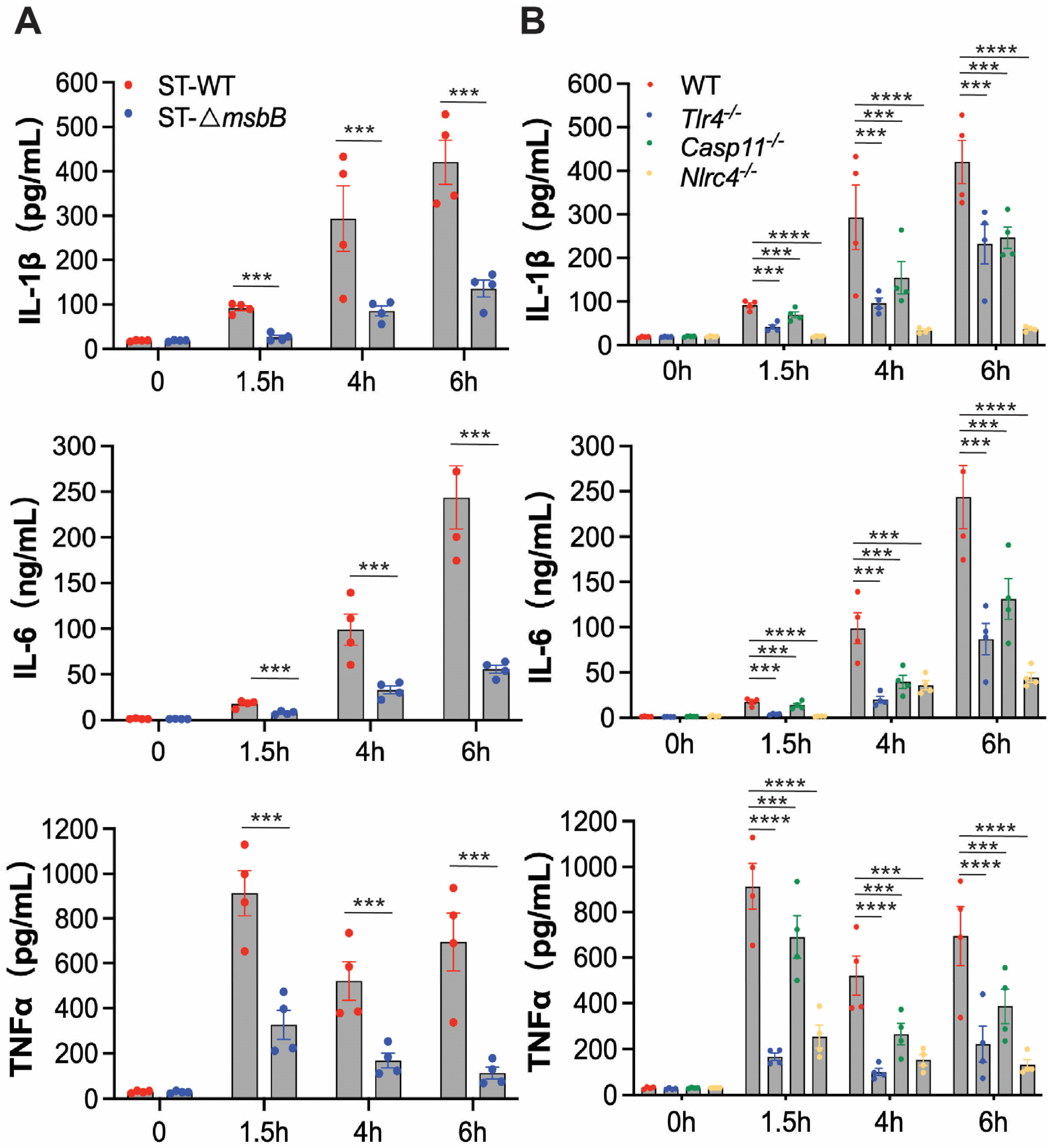 Microorganisms 13 02510 g002