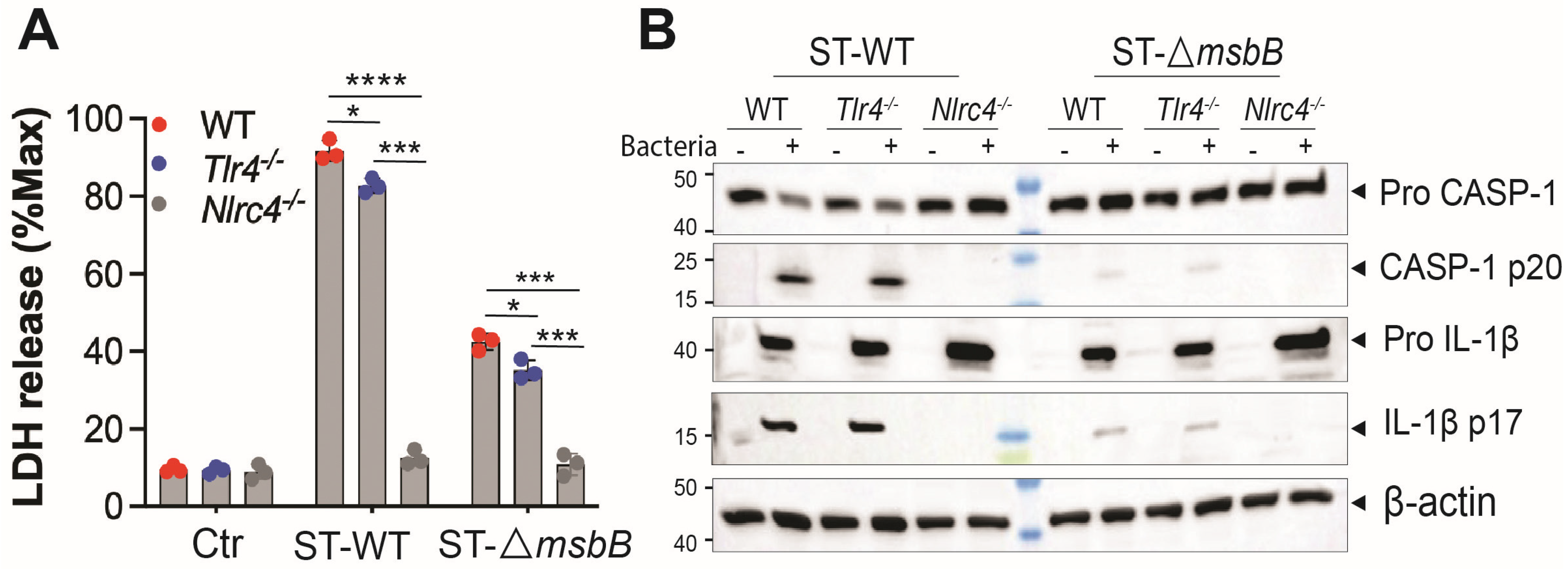 Microorganisms 13 02510 g003