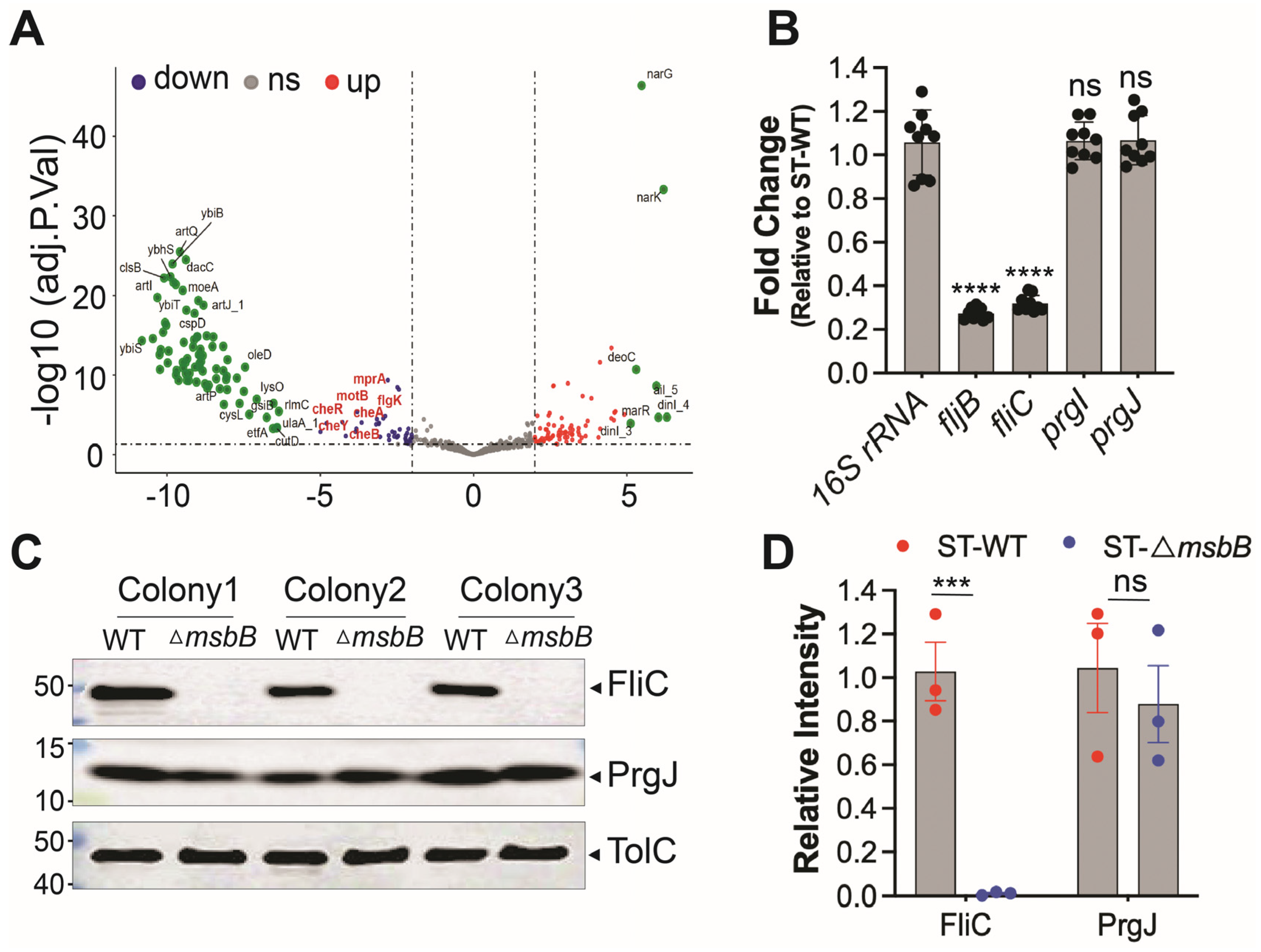 Microorganisms 13 02510 g005