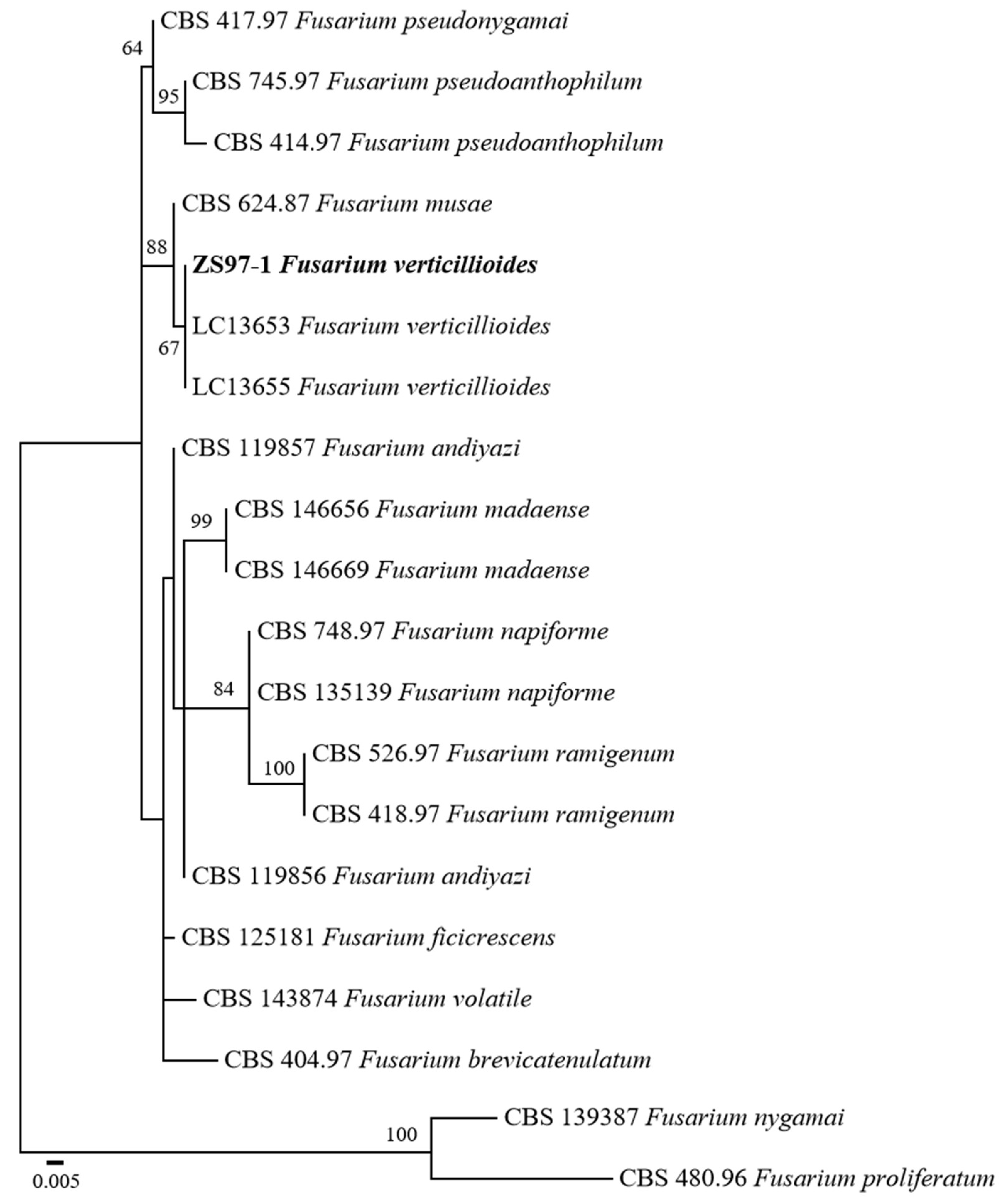 Microorganisms 13 02511 g002