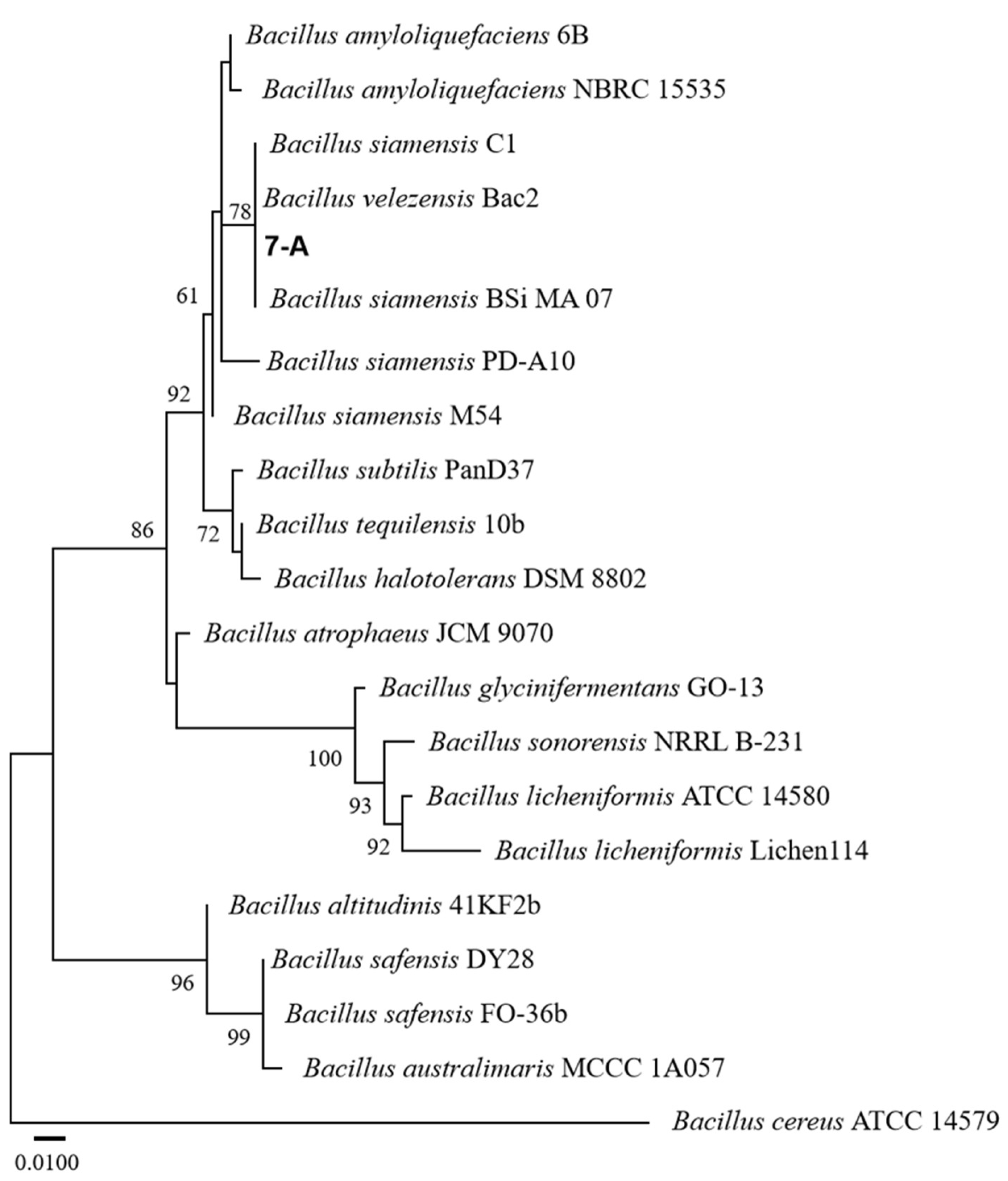 Microorganisms 13 02511 g006