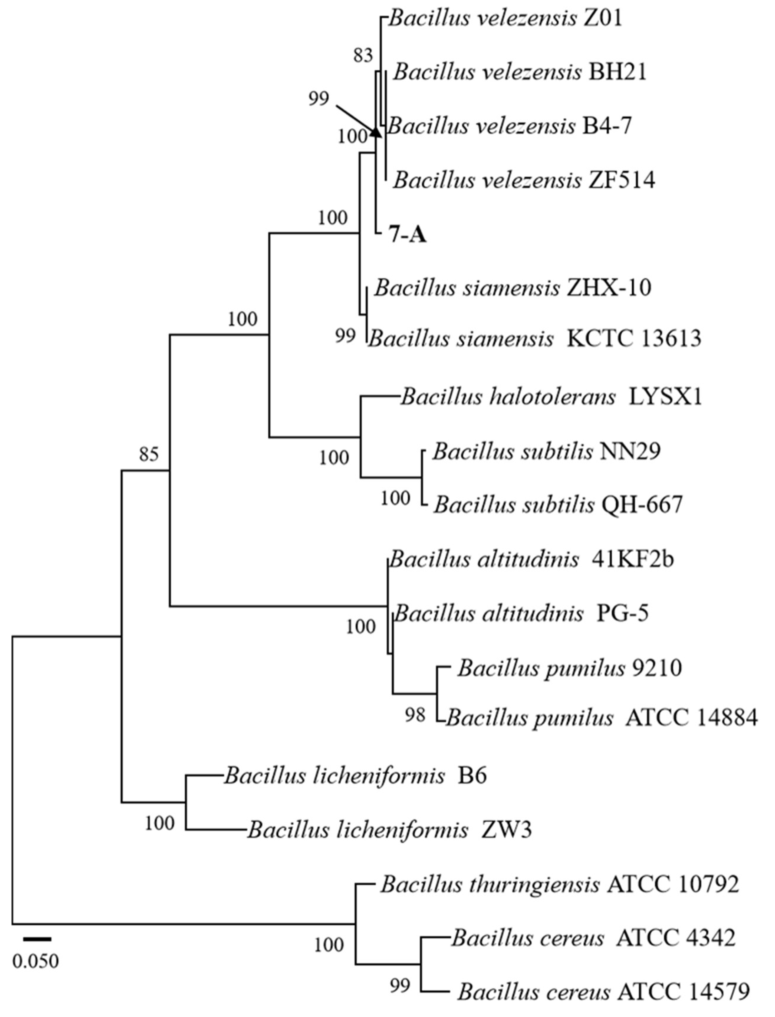 Microorganisms 13 02511 g007
