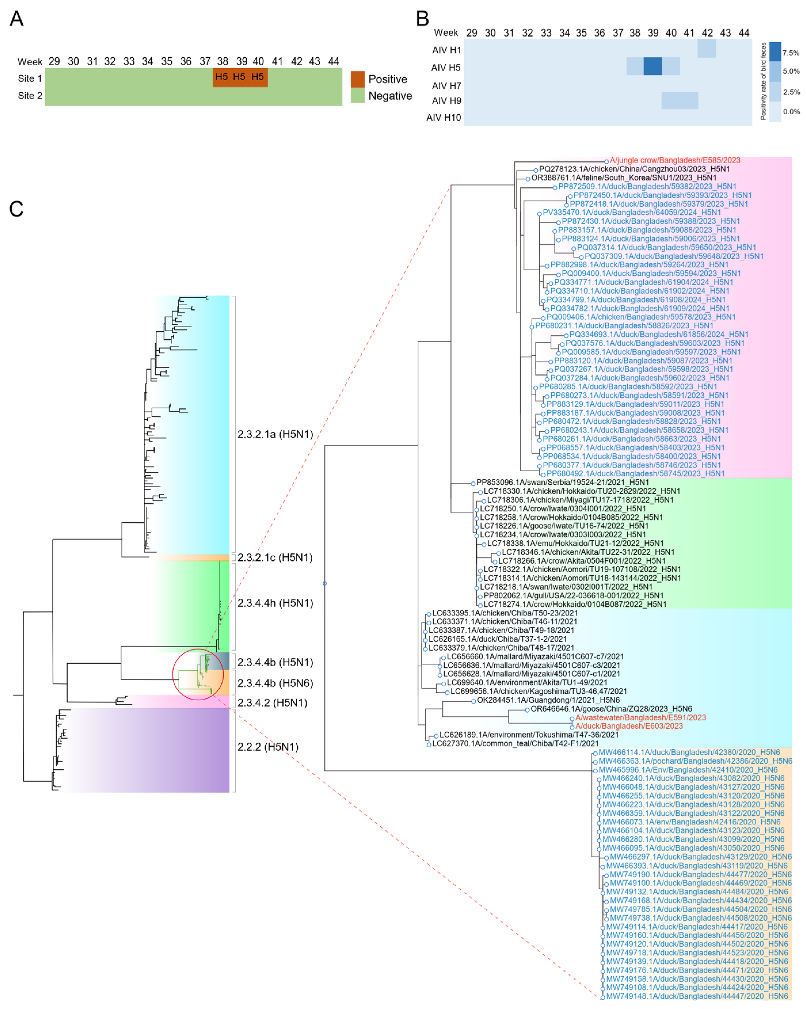 Microorganisms 13 02526 g001
