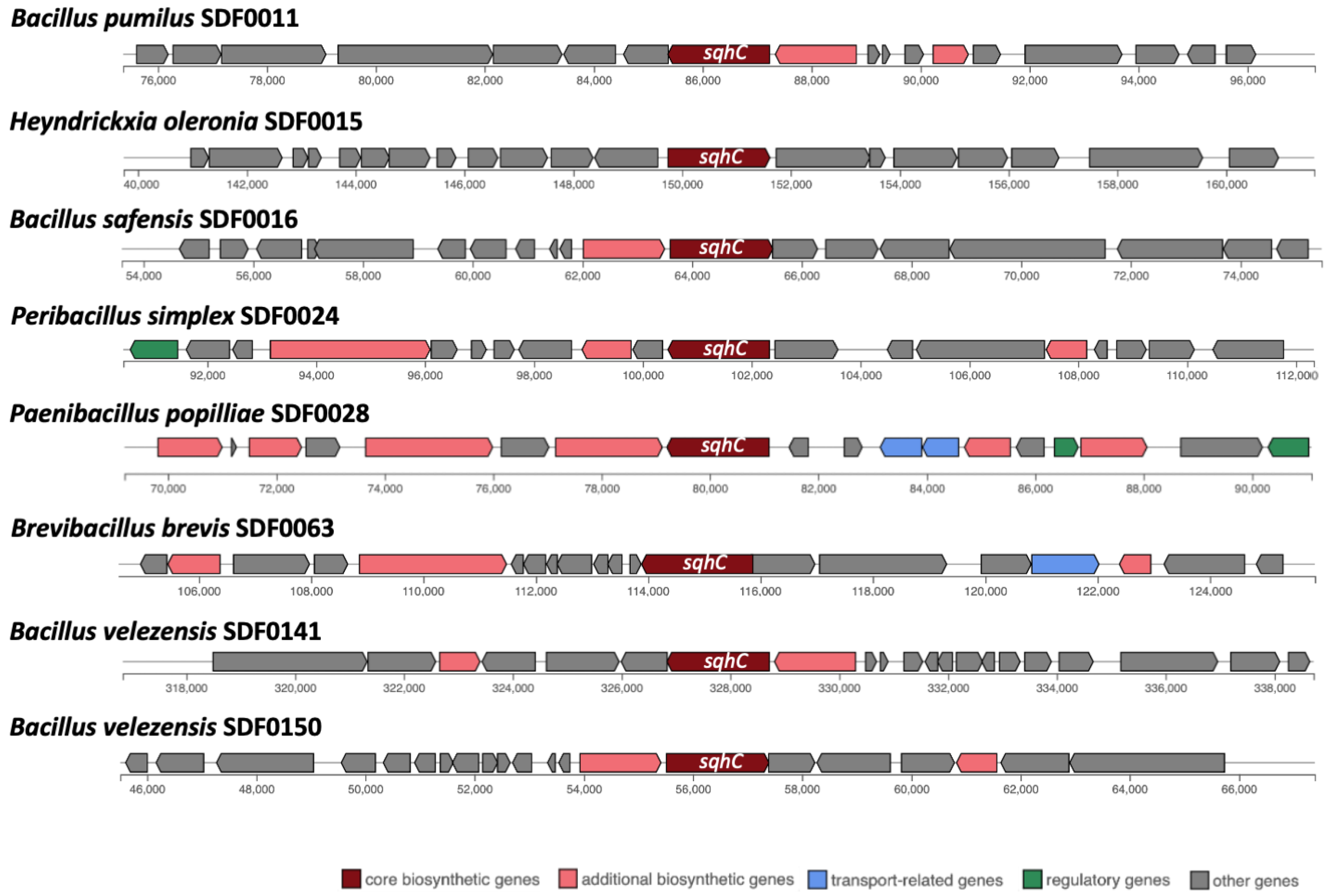 Microorganisms 13 02528 g003