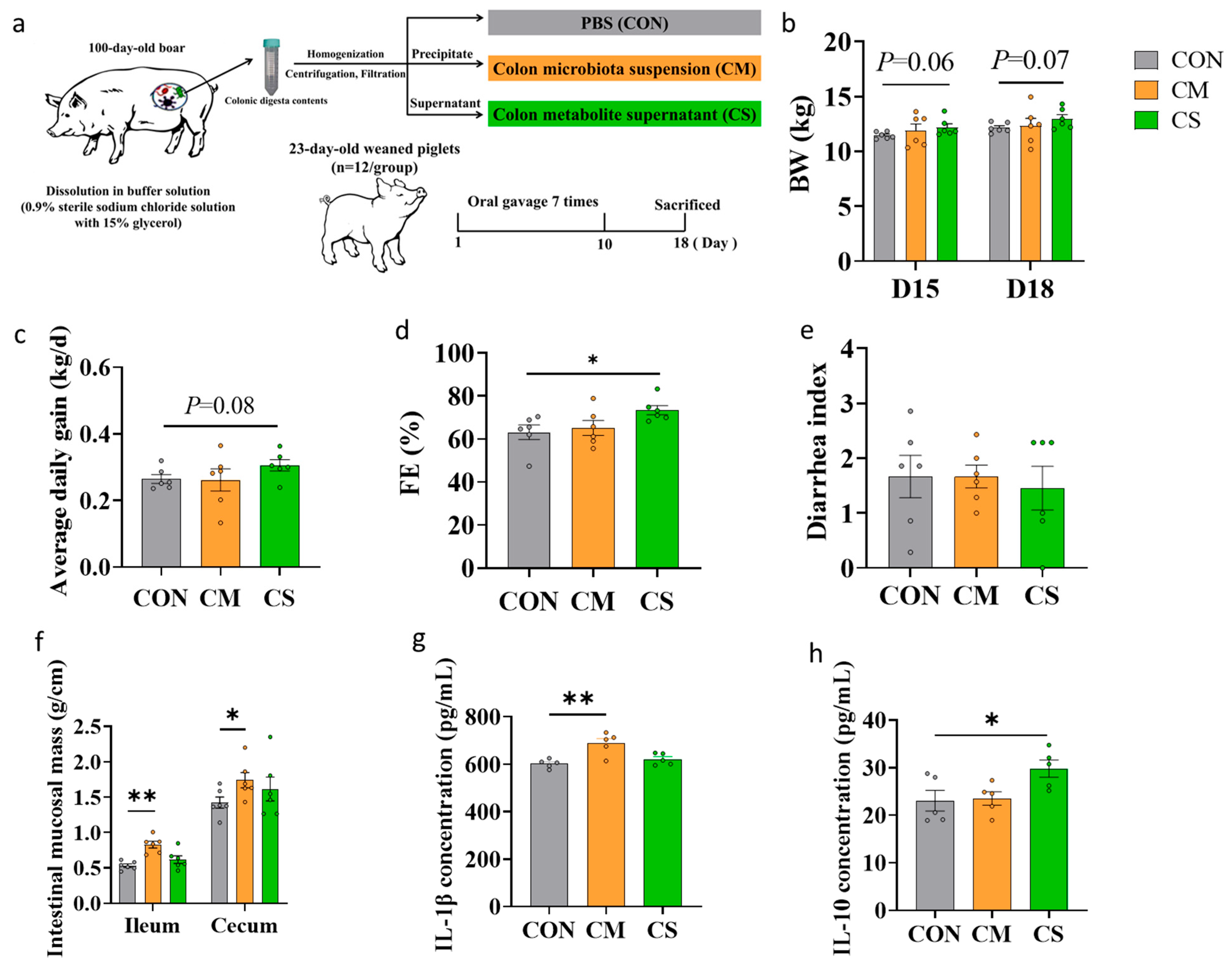 Microorganisms 13 02533 g001