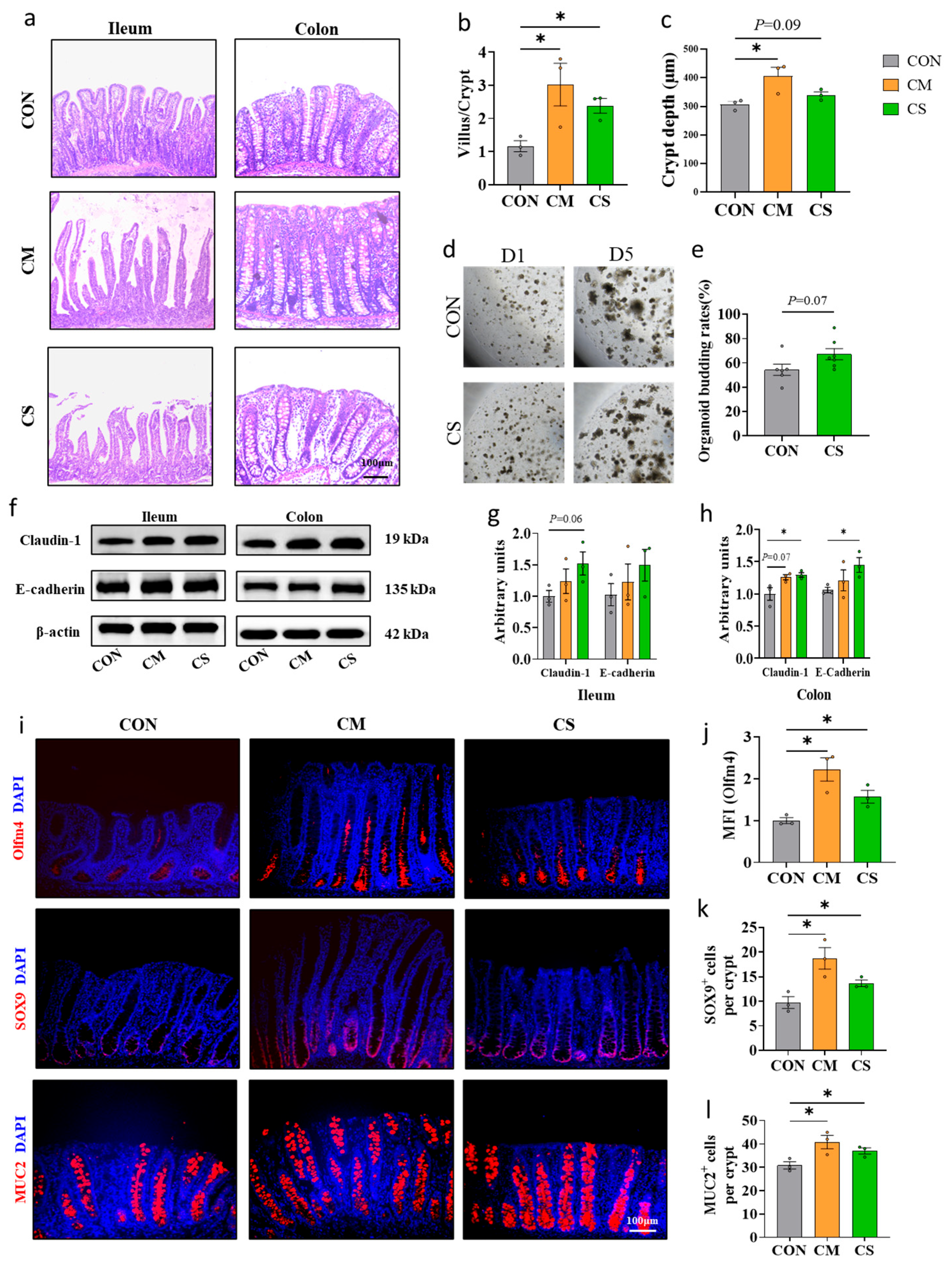 Microorganisms 13 02533 g002