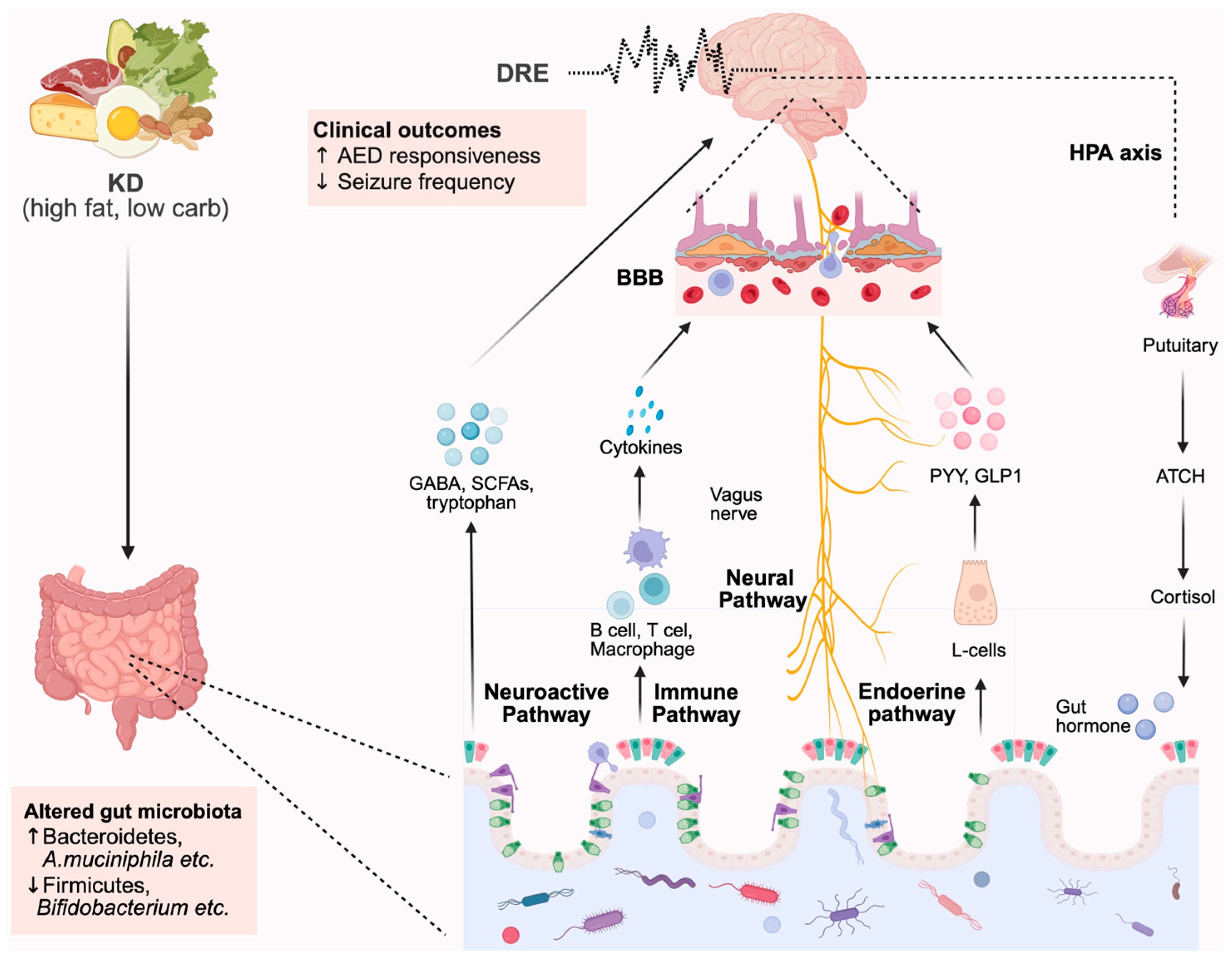 Microorganisms 13 02539 g001