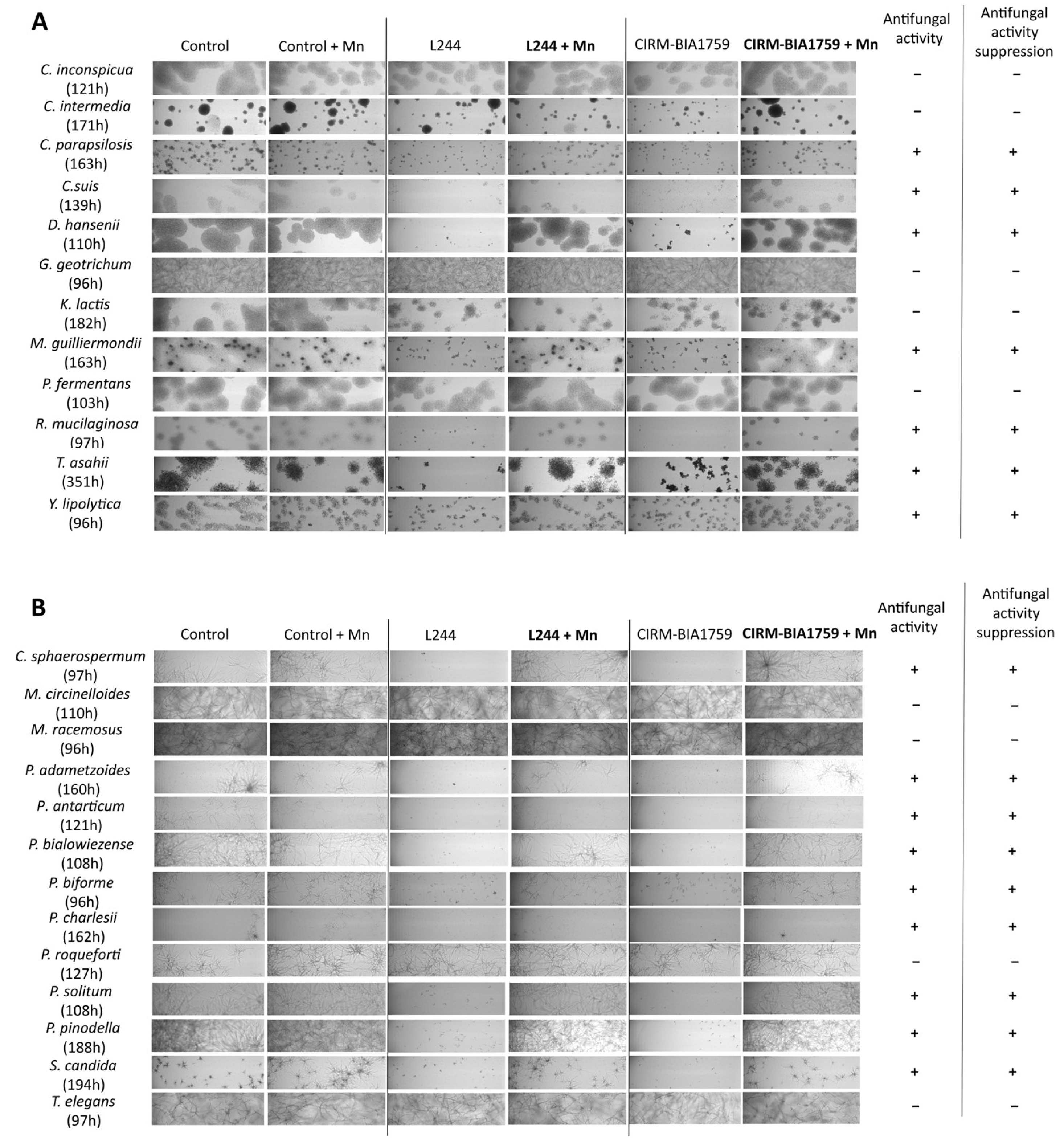 Microorganisms 13 02543 g004