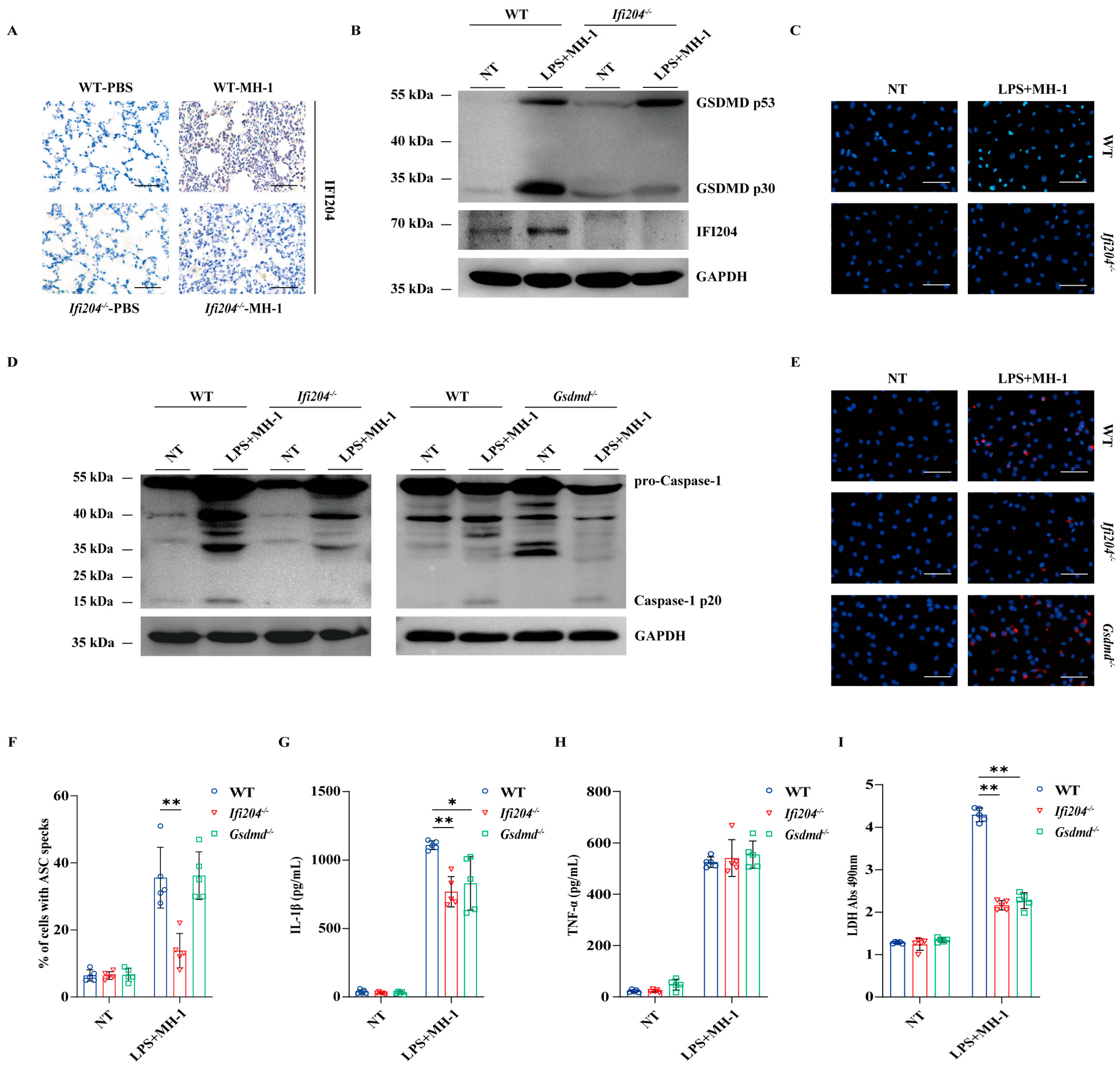 Microorganisms 13 02557 g003