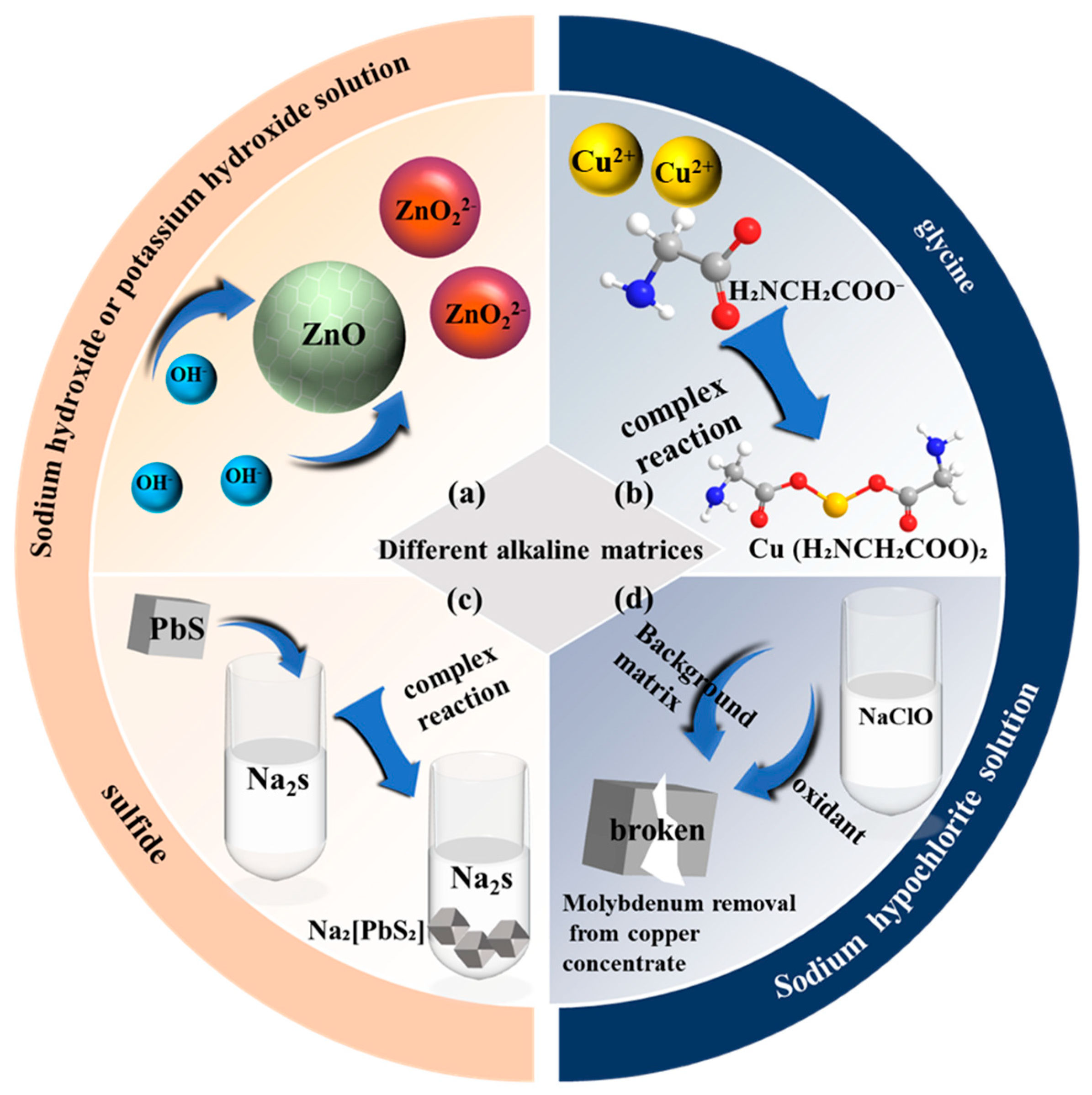 Microorganisms 13 02577 g001
