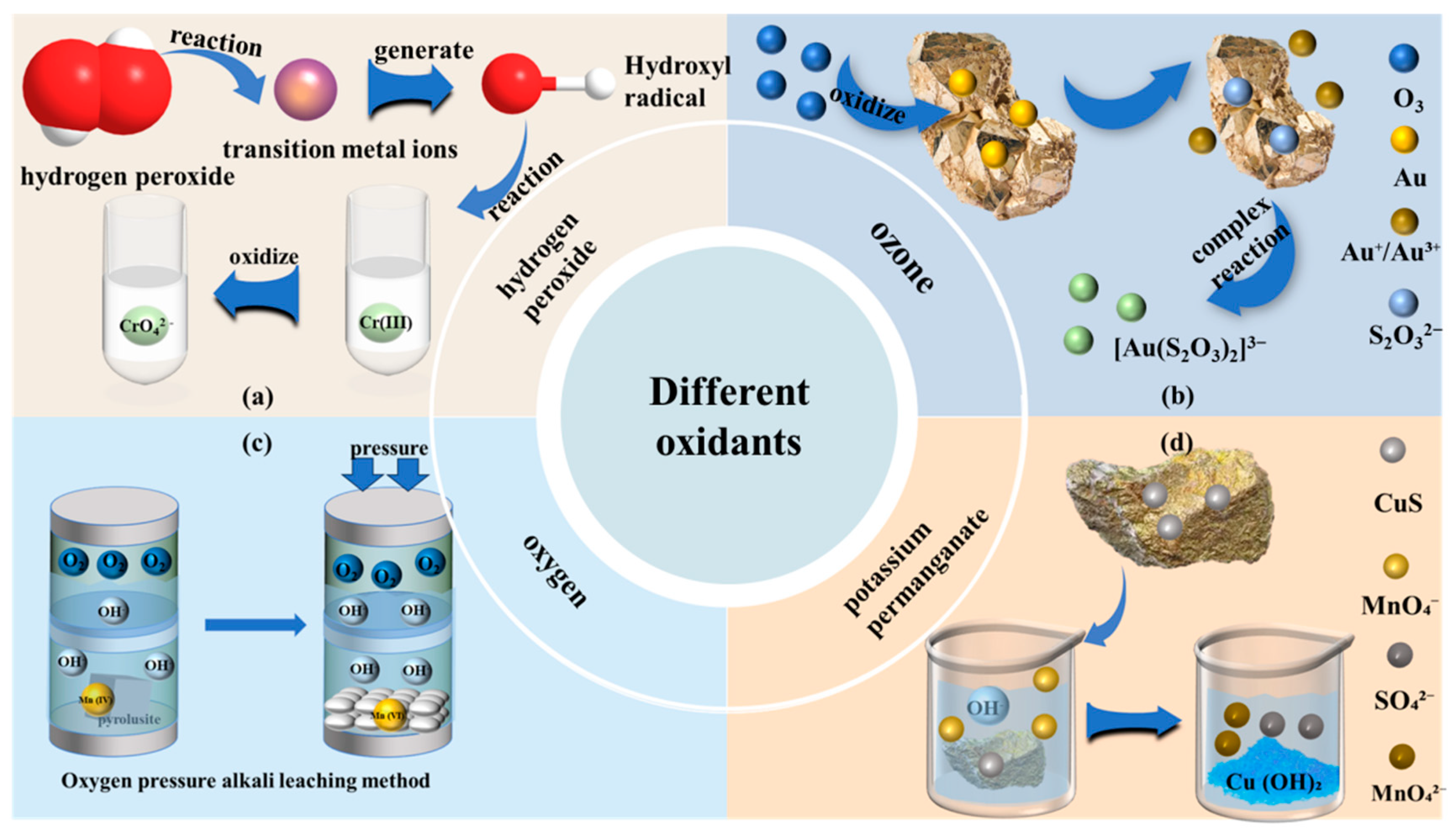 Microorganisms 13 02577 g002