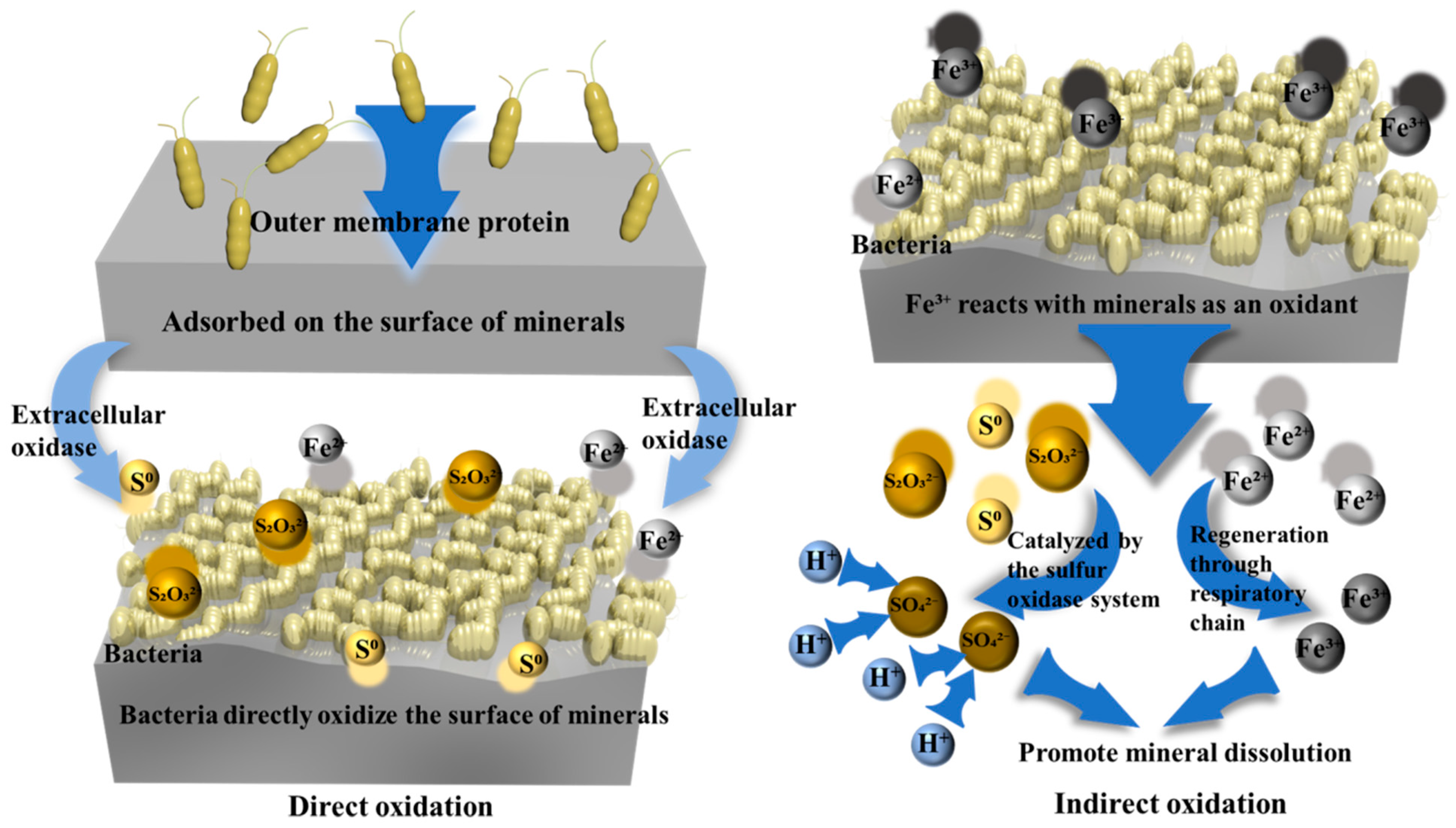 Microorganisms 13 02577 g003