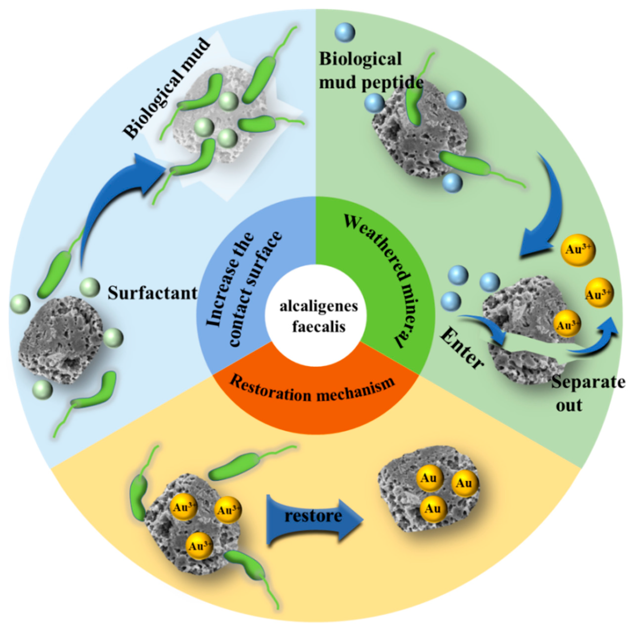 Microorganisms 13 02577 g004