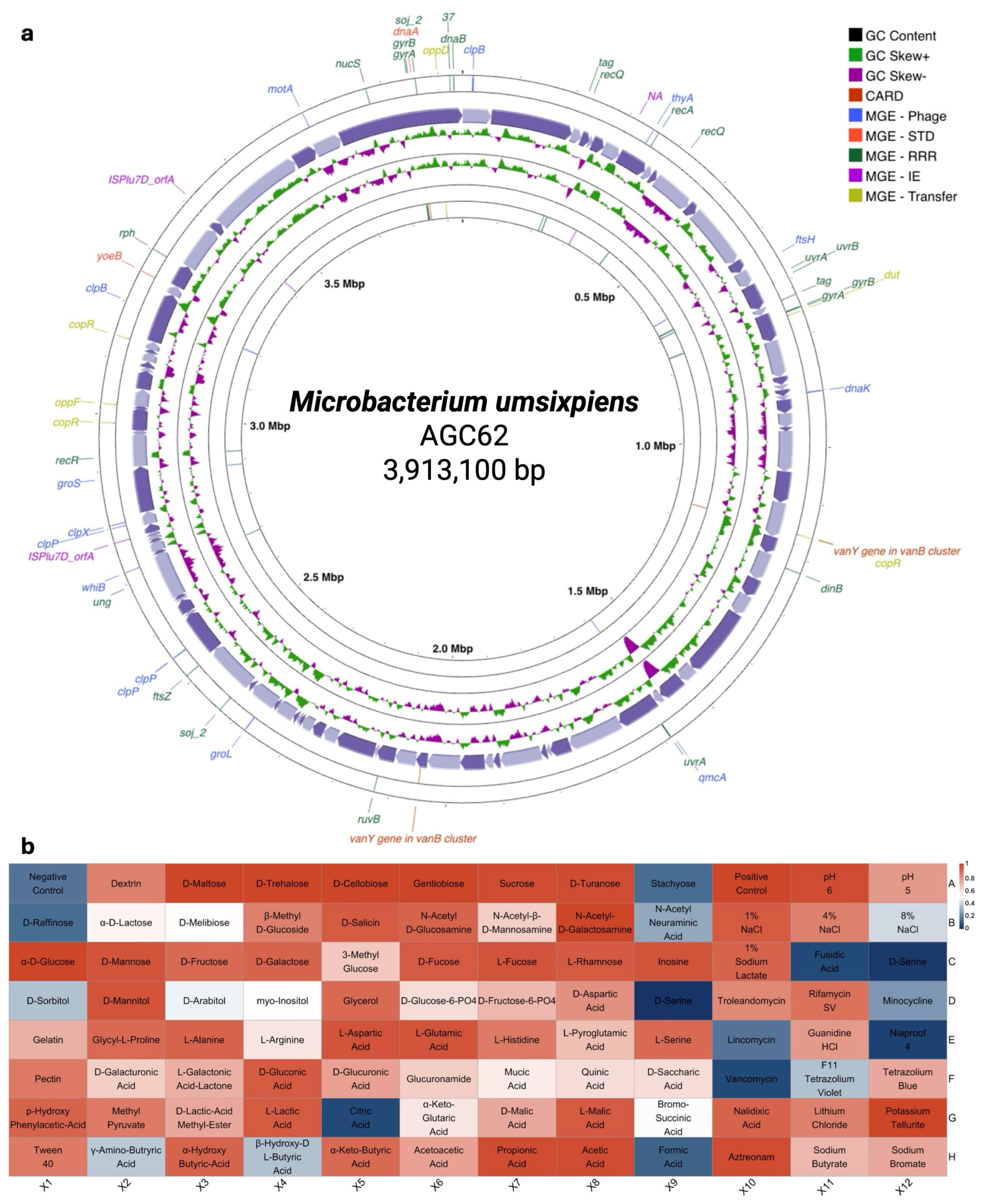 Microorganisms 13 02583 g004