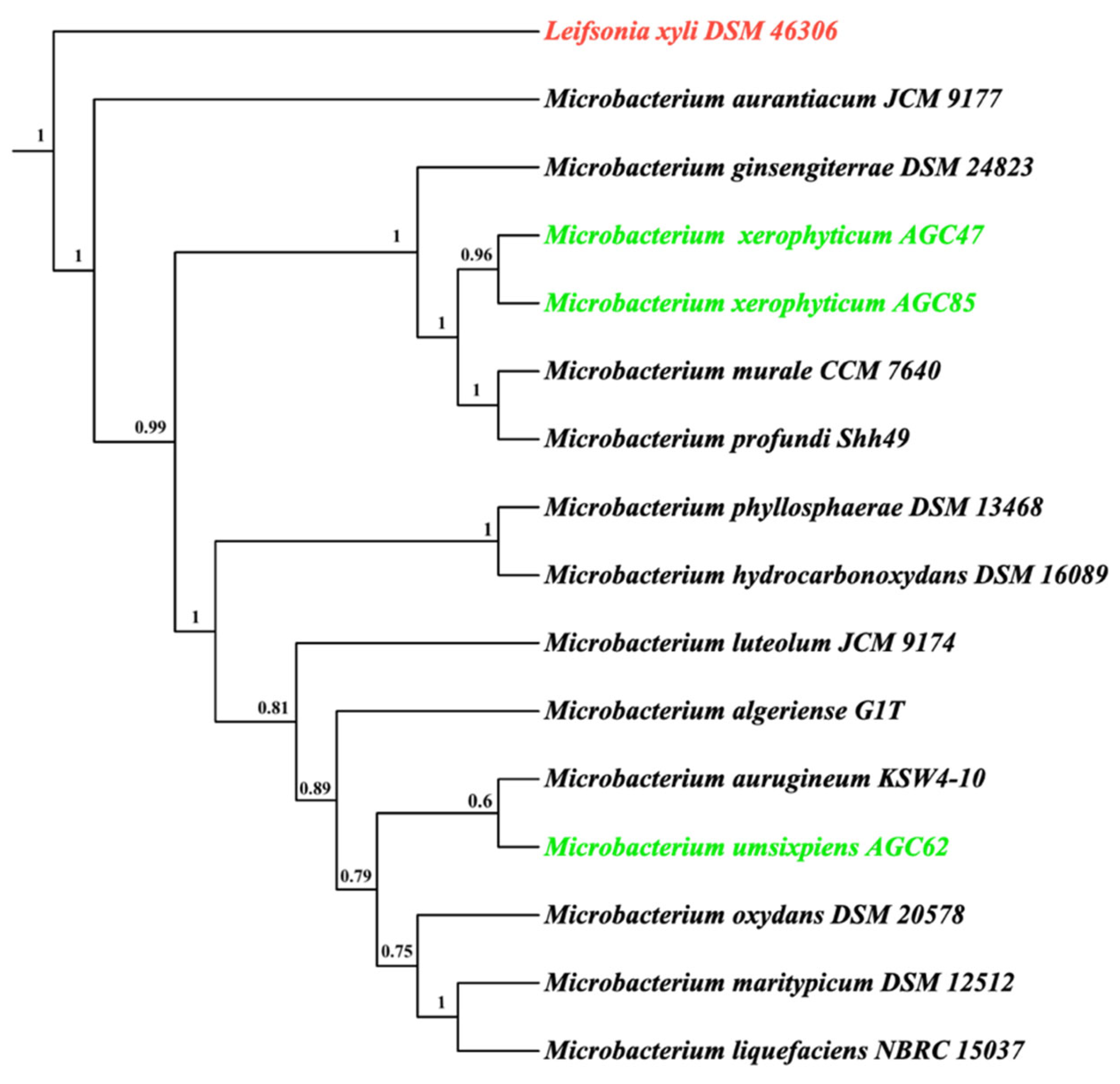 Microorganisms 13 02583 g006