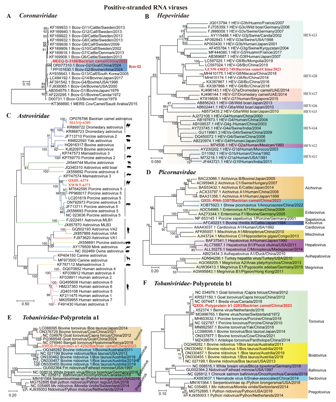 Microorganisms 13 02589 g004