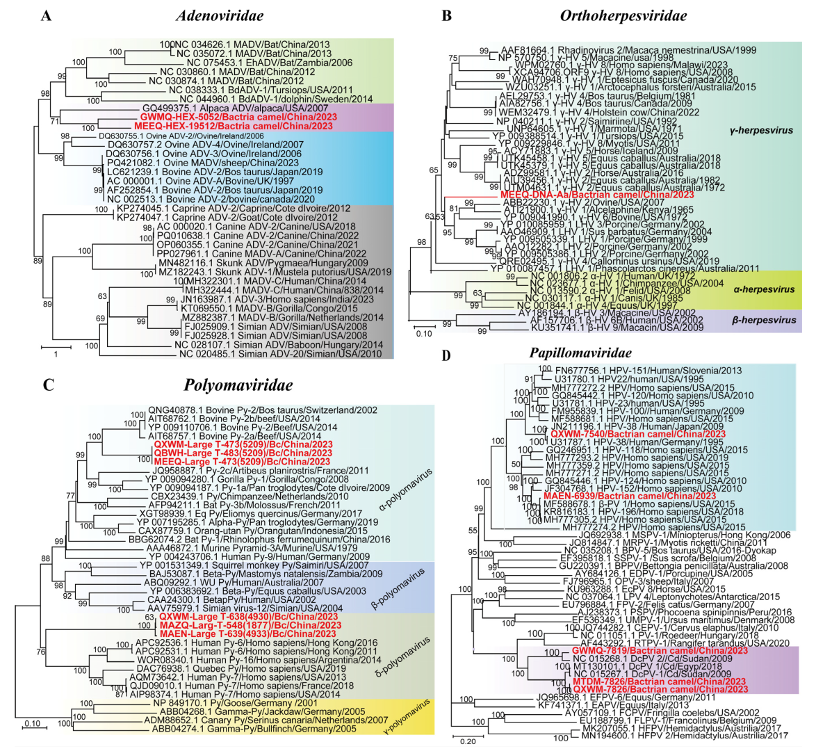 Microorganisms 13 02589 g005