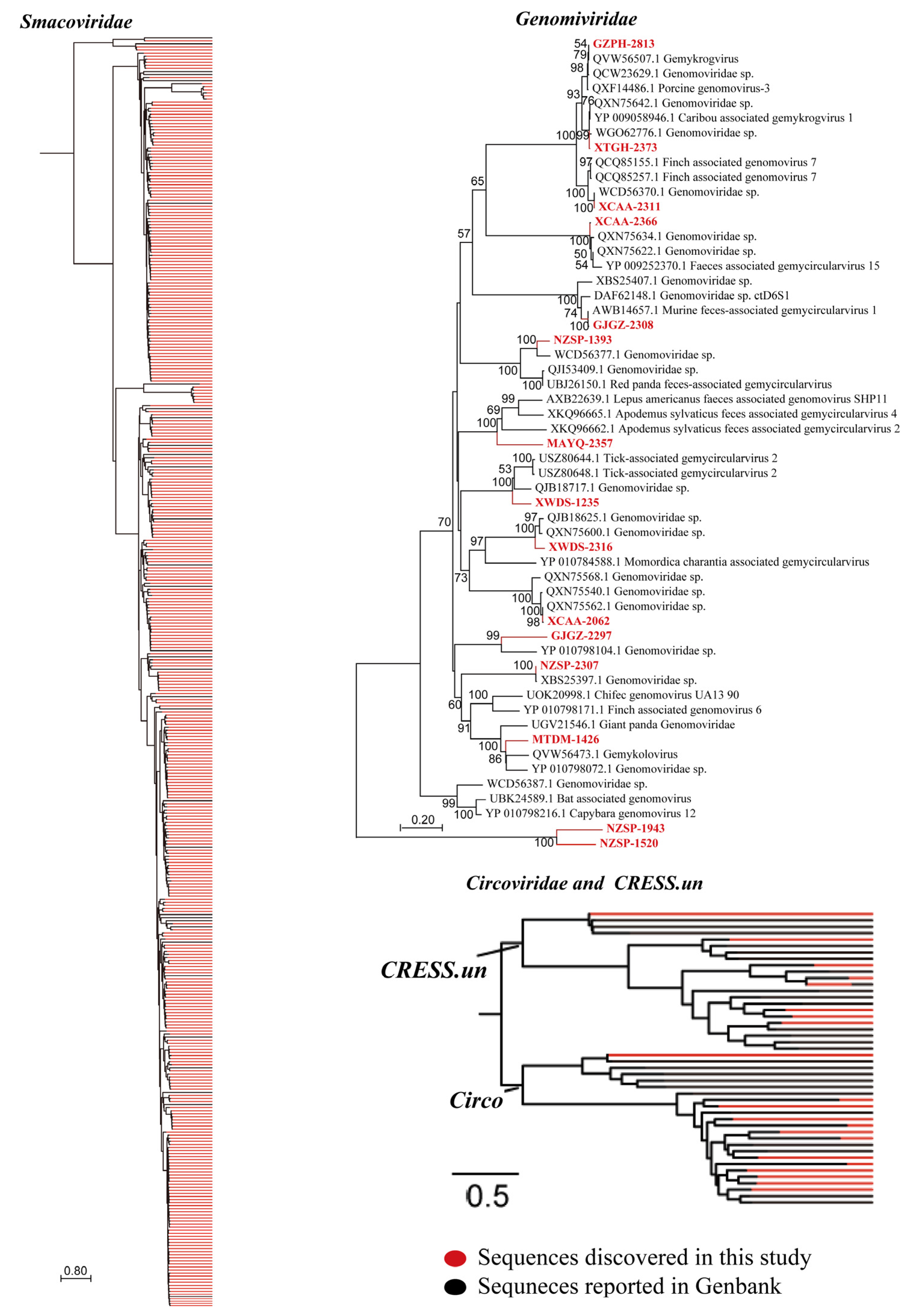 Microorganisms 13 02589 g006