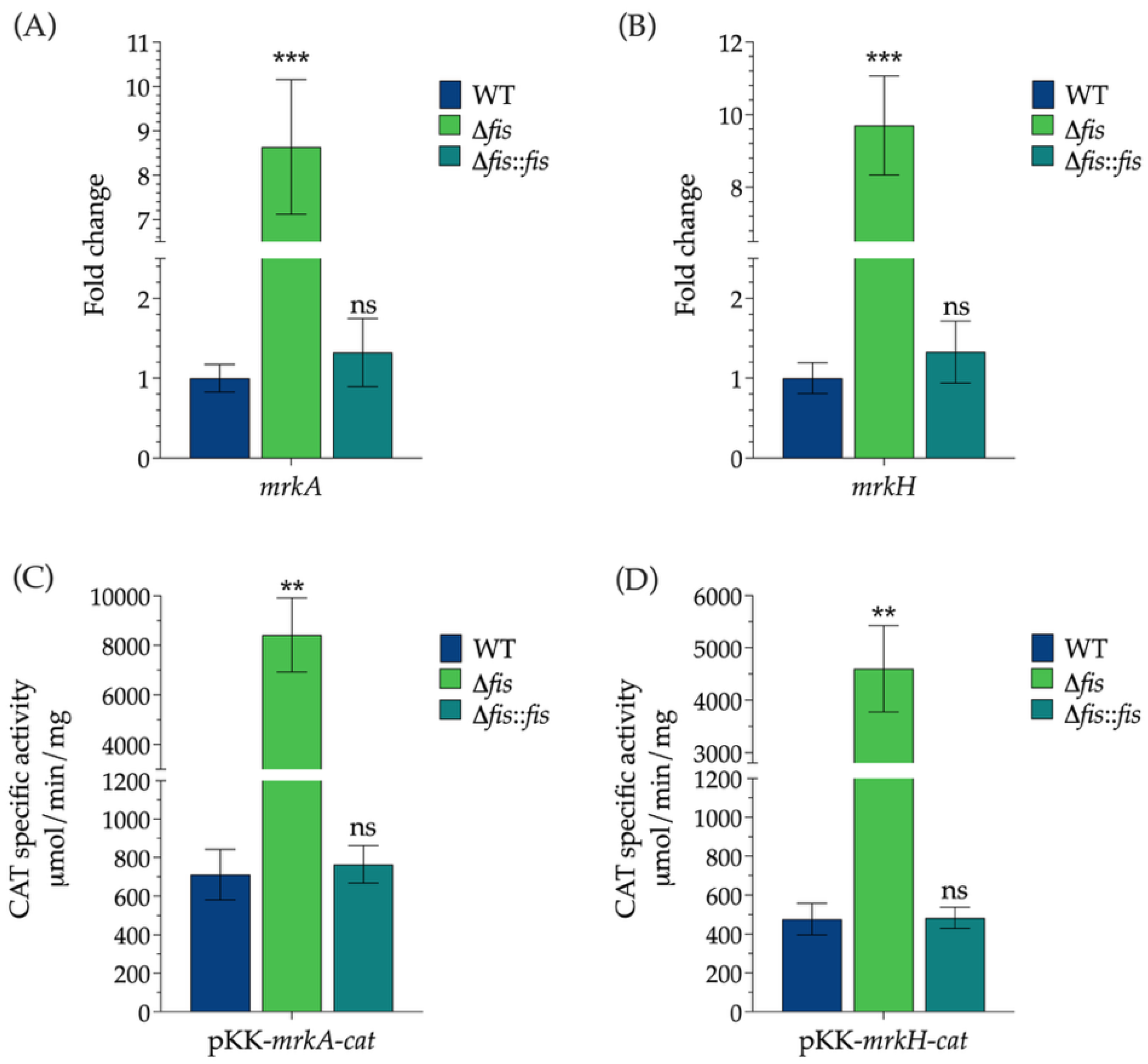 Microorganisms 13 02591 g002 Microorganisms 13 02591 g002