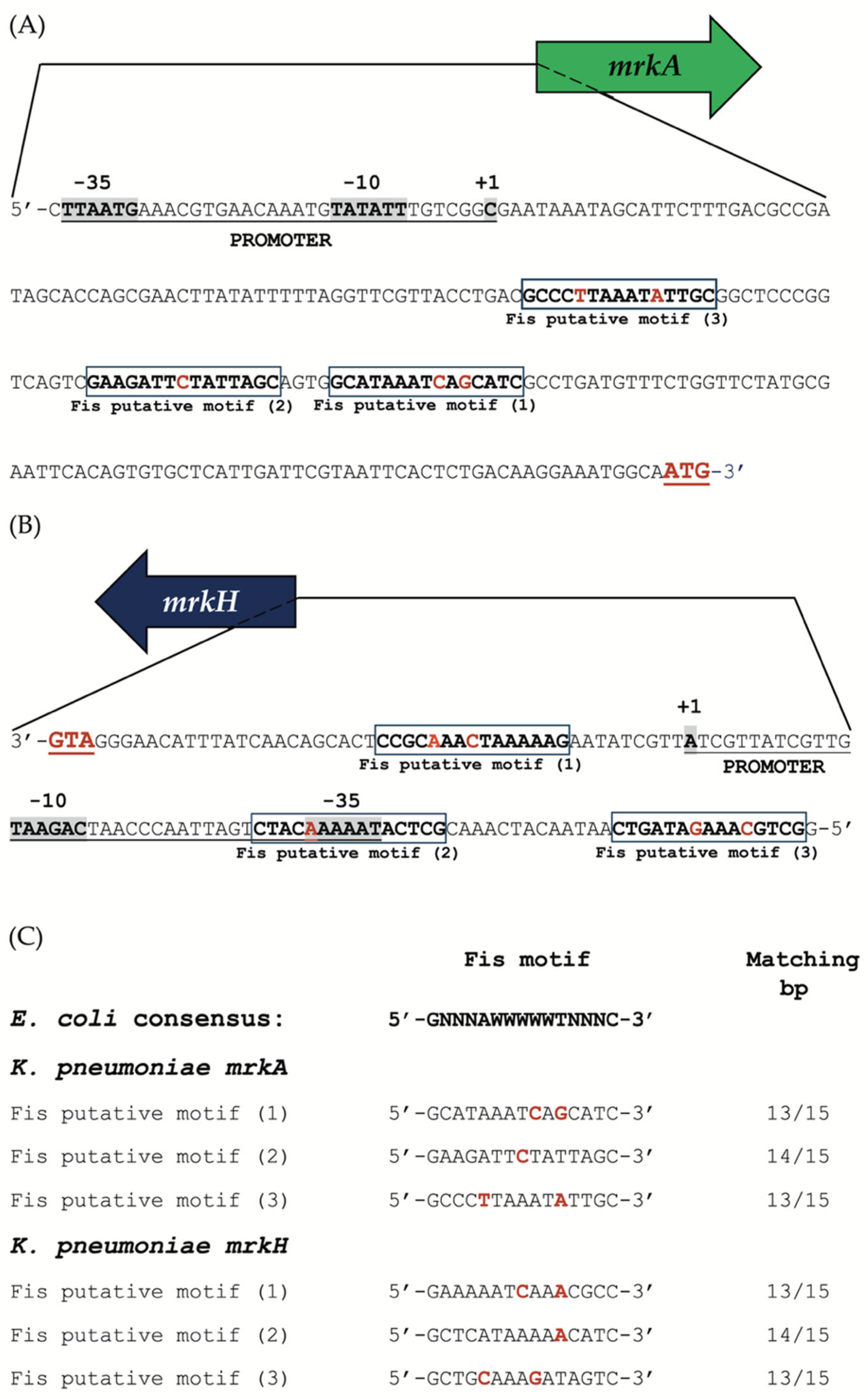 Microorganisms 13 02591 g005 Microorganisms 13 02591 g005
