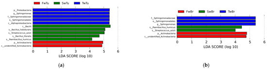 Microorganisms 13 02593 g006a