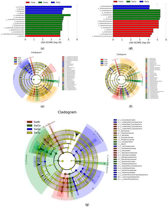 Microorganisms 13 02593 g006b